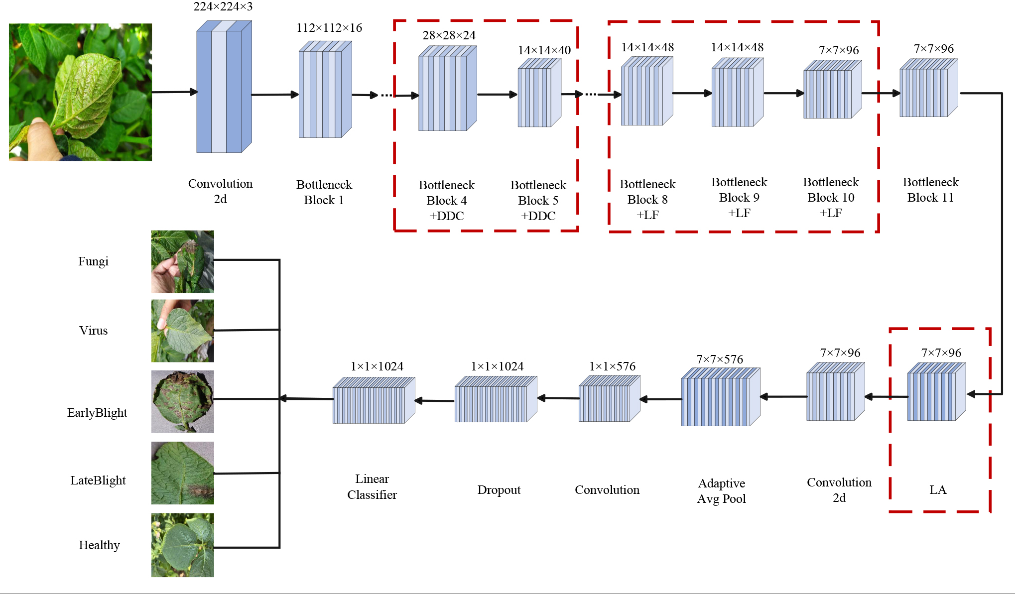 Diagram of a deep learning model for plant disease detection. A sequence of convolutional and bottleneck blocks processes leaf images through stages labeled with dimensions. Final classification identifies fungi, virus, early blight, late blight, and healthy leaves.