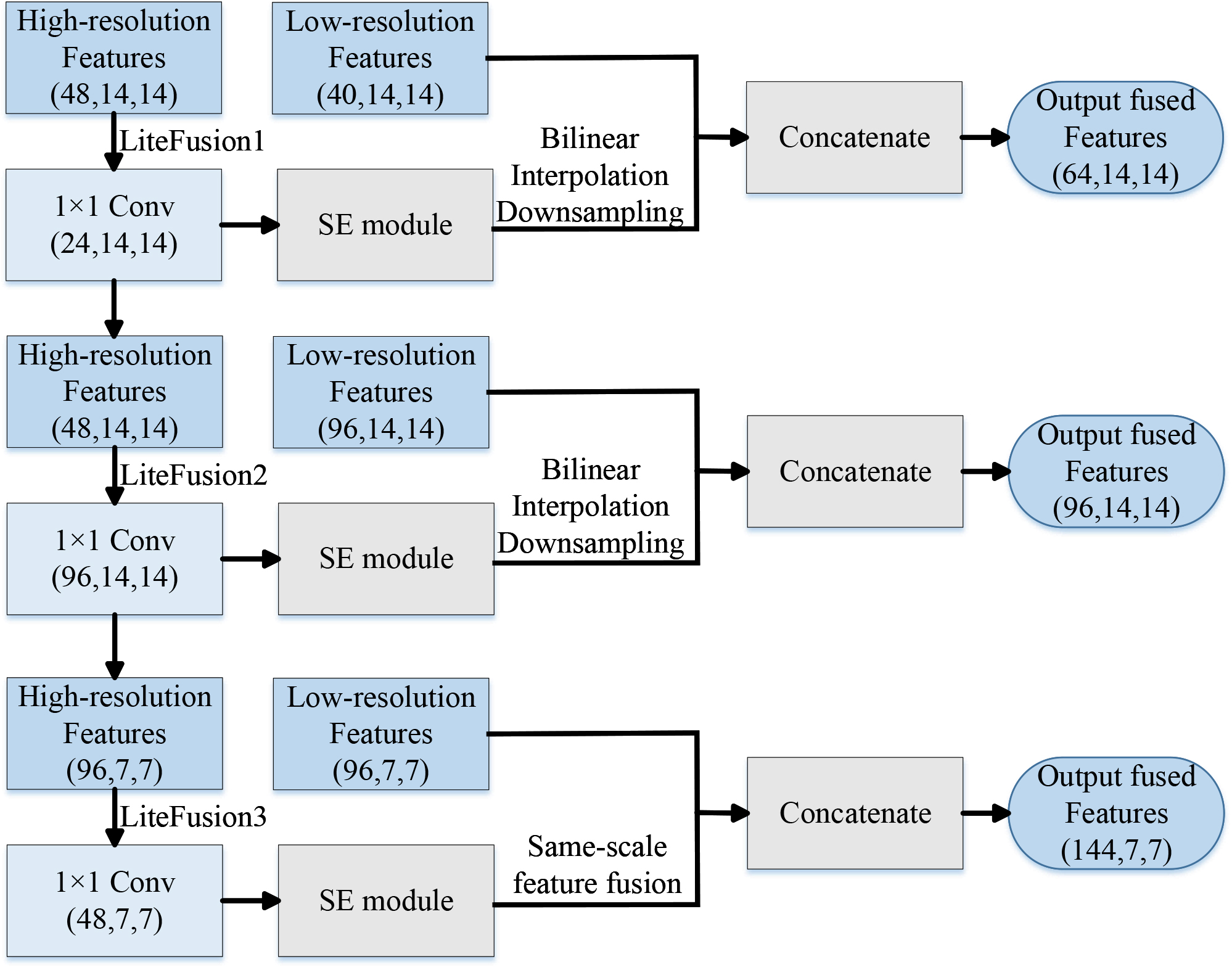 Diagram illustrating a feature fusion process across three levels. Each level involves high-resolution and low-resolution features processed through LiteFusion modules. Features are downsampled via bilinear interpolation, concatenated, and passed through SE modules. The output fused features are shown for each stage, with dimensions indicated.