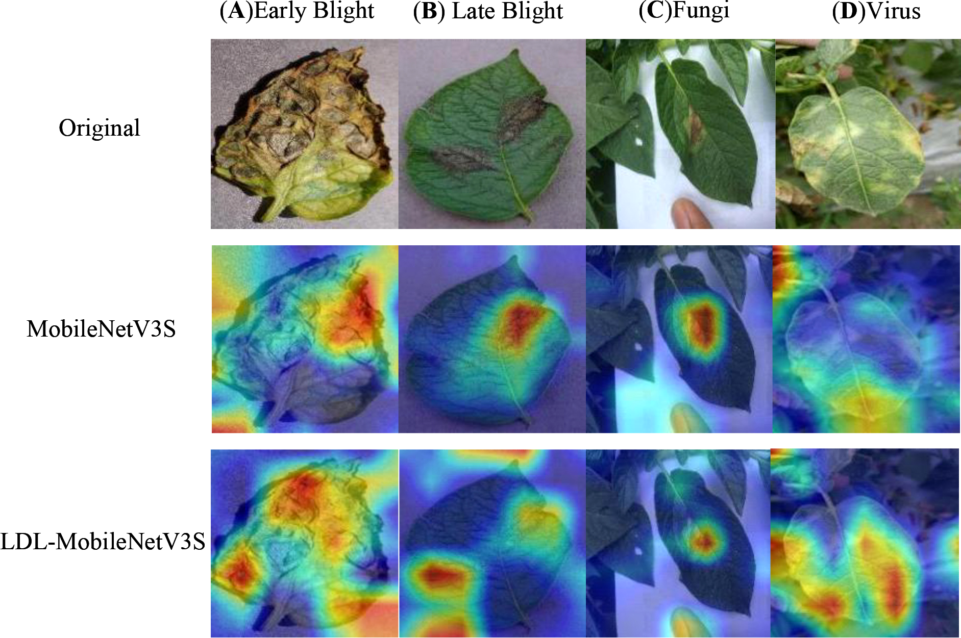 Original images show leaves with various conditions: early blight, late blight, fungi, and virus. Below, heatmaps generated by MobileNetV3S and LDL-MobileNetV3S highlight affected areas. Each row represents the different model's analysis of the same leaf conditions.