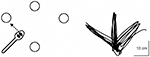 www.frontiersin.org