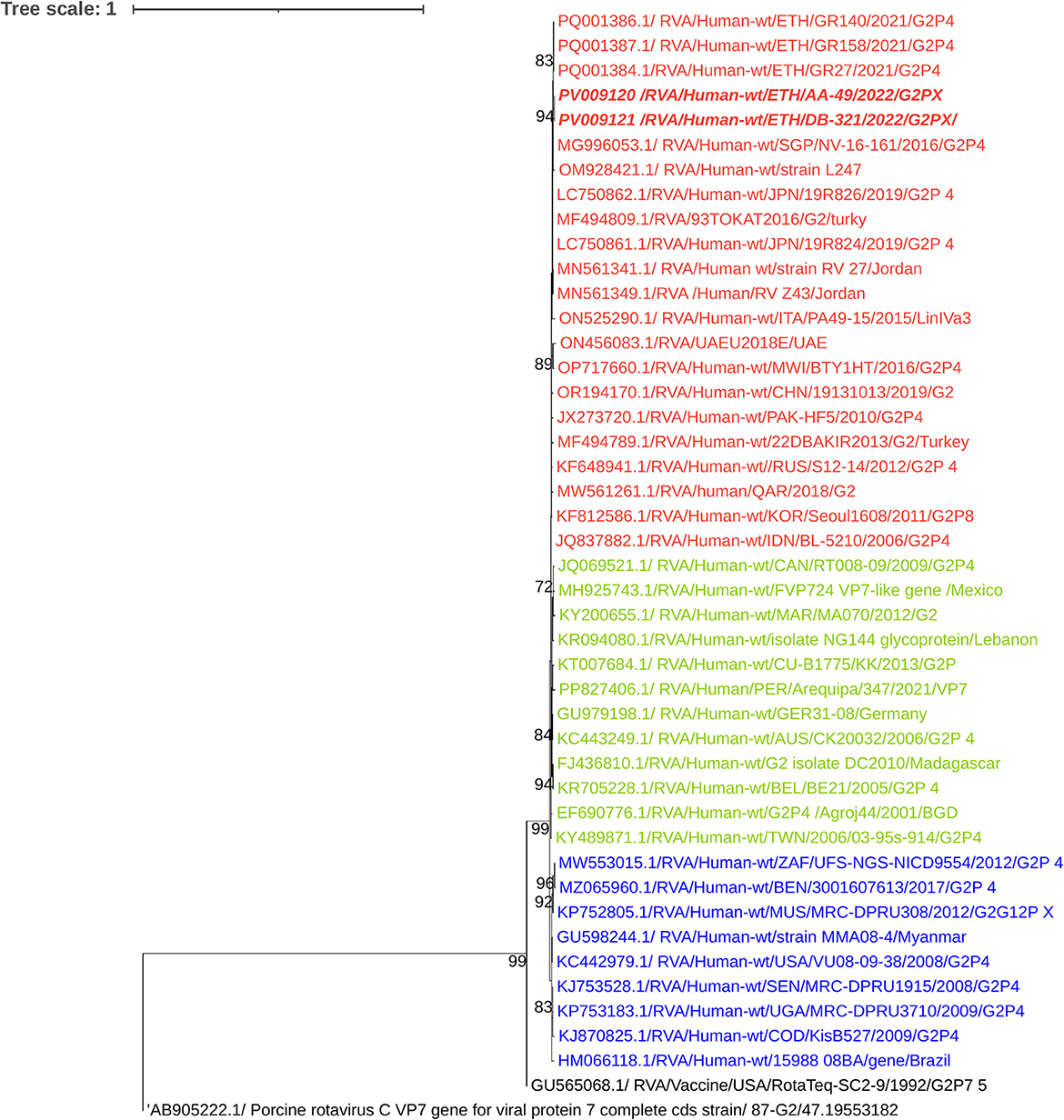 Phylogenetic tree illustrating the genetic relationships of RVA rotavirus strains in humans and animals. The tree includes sequences labeled with specific IDs and origin details, differentiated by color. The scale indicates genetic distance, with bootstrap values shown at branch points to represent confidence levels in the branching order.