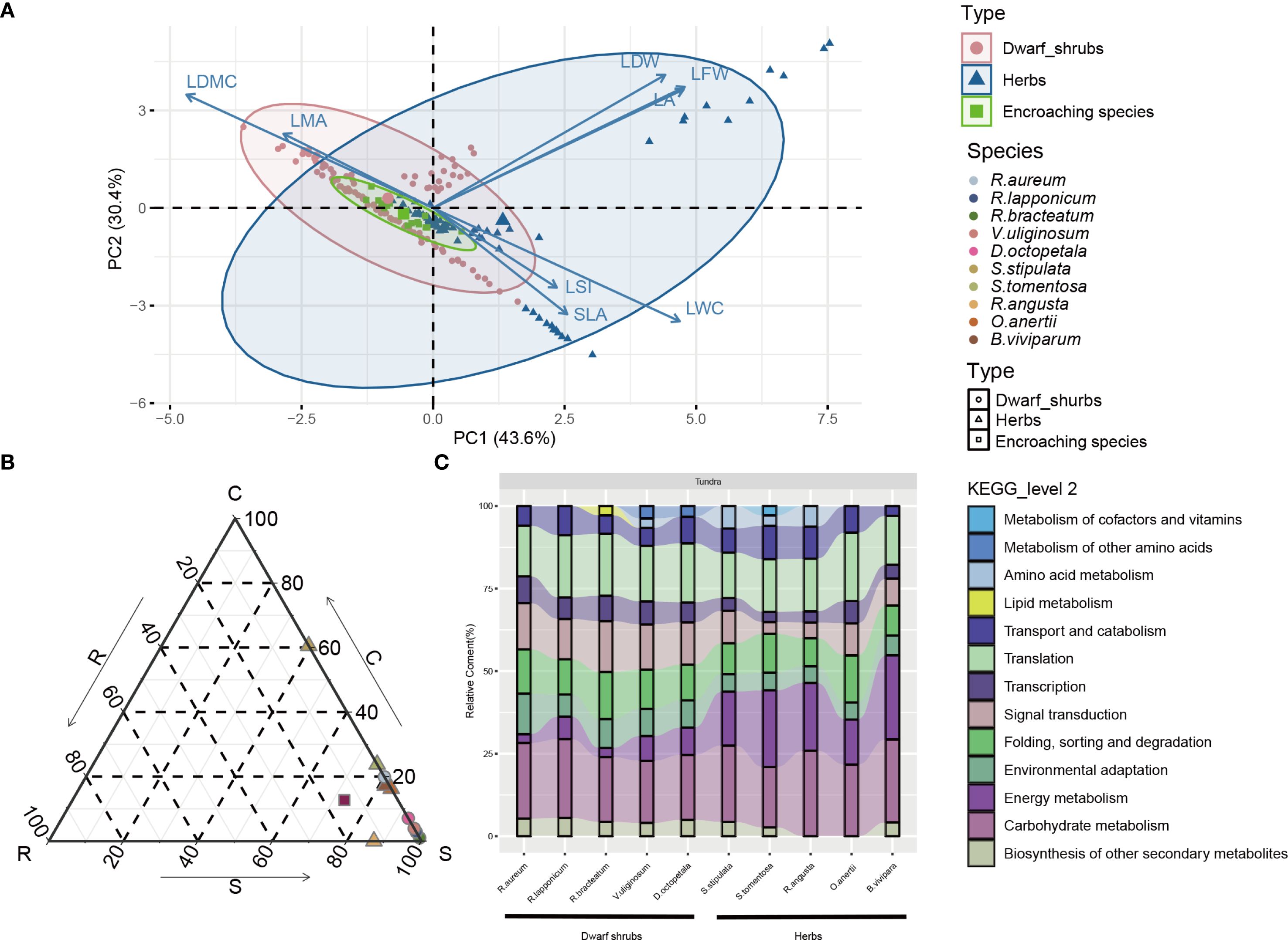 A set of scientific graphs illustrating plant data. Panel A shows a principal component analysis (PCA) biplot with points representing different species types including dwarf shrubs, herbs, and encroaching species, with specific species labeled and ellipses indicating group distribution. Panel B features a ternary diagram mapping species attributes, with points distributed across the triangle. Panel C presents a stacked bar chart showing the relative content of various KEGG metabolic pathways across species. A legend explains species types and metabolic pathways with associated colors and shapes.