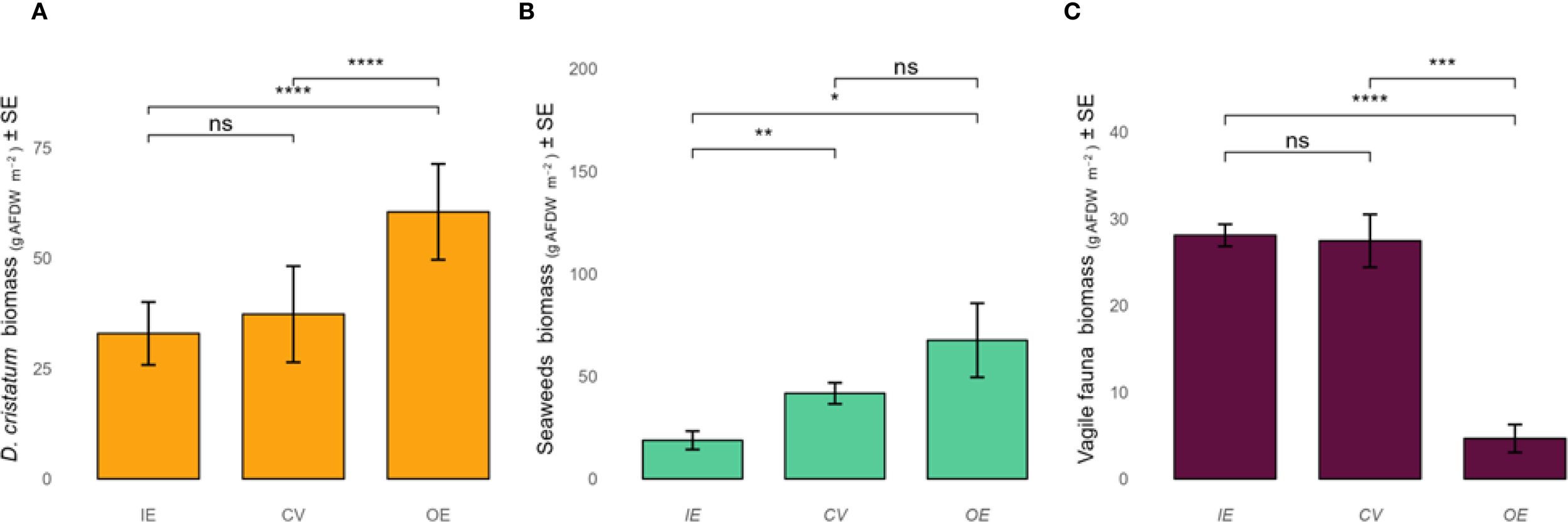 Bar graphs labeled A, B, and C compare biomass in grams of ash-free dry weight per square meter with standard error for D. cristatum, seaweeds, and vagile fauna across conditions IE, CV, and OE. Statistically significant differences are indicated by asterisks, with values ranging from not significant to highly significant.