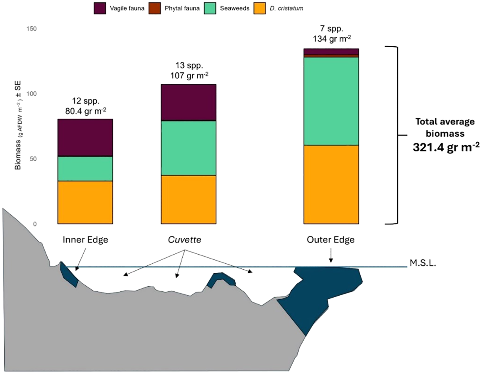 Bar chart showing biomass distribution across Inner Edge, Cuvette, and Outer Edge regions, with total average biomass of 321.4 grams per square meter. Colors represent vagile fauna, phyal fauna, seaweeds, and *D. cristatum*. The Inner Edge has 12 species with 80.4 grams, Cuvette has 13 species with 107 grams, and Outer Edge has 7 species with 134 grams. Cross-section illustrates these regions.