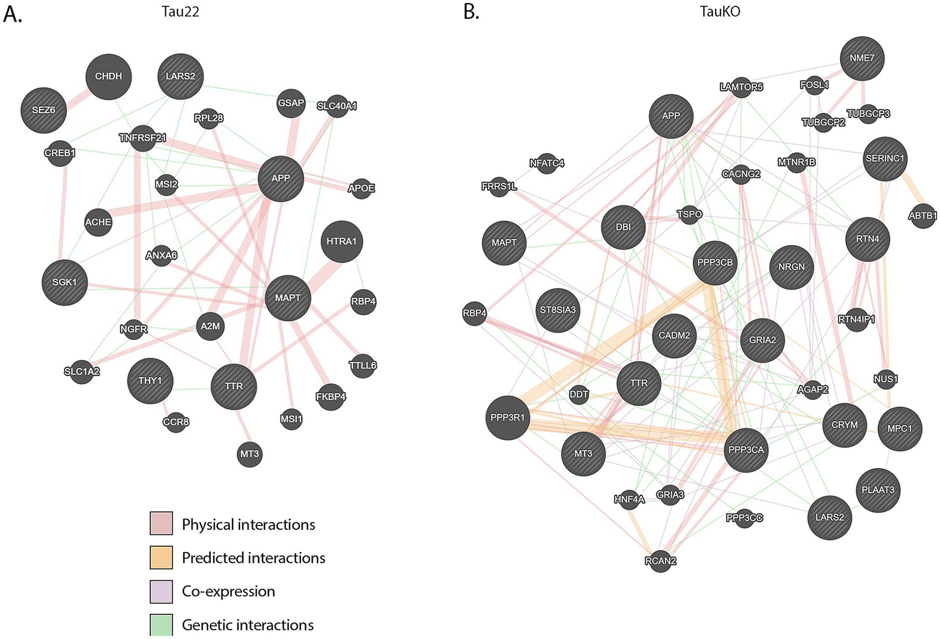 Network diagrams labeled