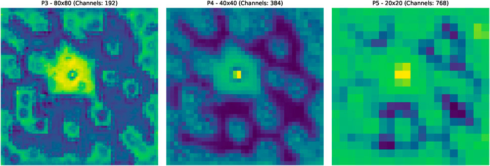 Three color-coded heatmaps labeled P3, P4, and P5, showing different channel configurations: P3 with 80x80 size and 192 channels, P4 with 40x40 size and 384 channels, and P5 with 20x20 size and 768 channels. Each map features a central bright yellow area, surrounded by gradients of green and purple.