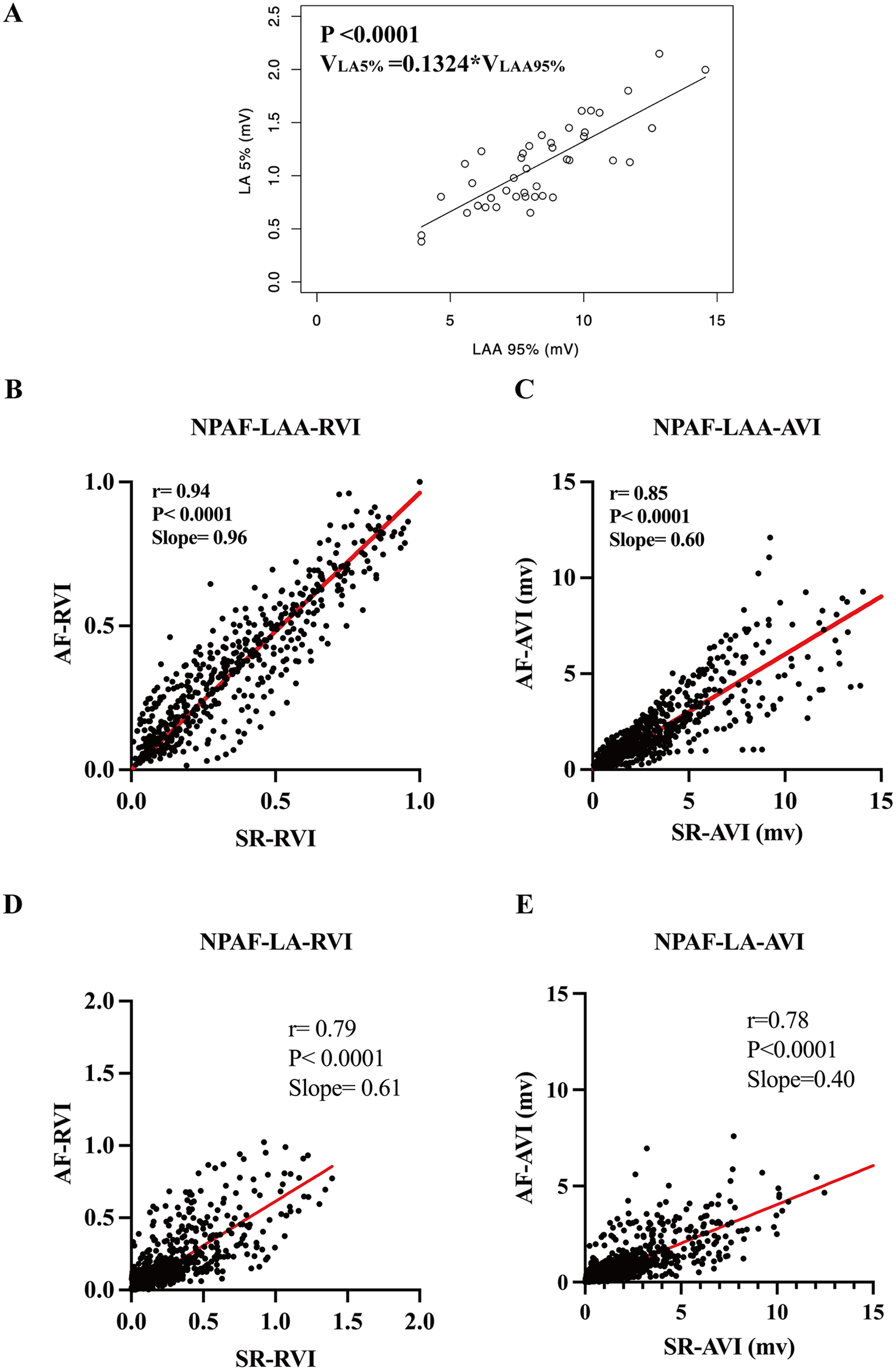 Five scatter plots labeled A to E display relationships between various electrical measurements in the heart. Plot A shows a positive linear relationship between LAA 95 percent and LA 5 percent. Plot B depicts a strong positive correlation between AF-RVI and SR-RVI. Plot C shows a moderate positive correlation between AF-AVI and SR-AVI. Plot D indicates a moderate positive relationship between AF-RVI and SR-RVI. Plot E reveals a moderate positive correlation between AF-AVI and SR-AVI. Each plot includes a regression line and statistical values for the correlation coefficient, P-value, and slope.