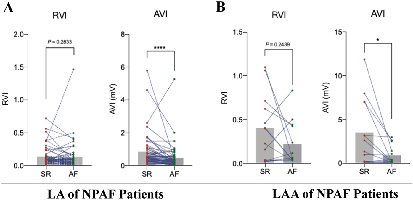 Graphs compare RVI and AVI measures between sinus rhythm (SR) and atrial fibrillation (AF) conditions in NPAF patients, showing statistical significance. Part A shows LA measurements with no RVI significance (P = 0.2833) and significant AVI (P < 0.0001). Part B shows LAA measurements with no RVI significance (P = 0.2439) and significant AVI (P < 0.05).