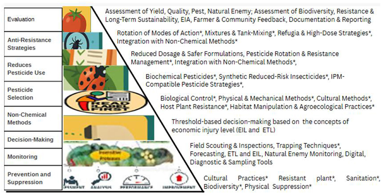 Illustration of a pyramid outlining pest management strategies. Levels from top to bottom include: Evaluation (yield, quality, biodiversity), Anti-Resistance Strategies (rotation, mixtures, non-chemical methods), Reduces Pesticide Use (reduced dosage, resistance management), Pesticide Selection (biochemical, reduced-risk), Non-Chemical Methods (biological control, cultural methods), Decision-Making (threshold-based), Monitoring (field scouting, digital tools), and Prevention and Suppression (cultural practices, sanitation). Each level details specific practices for sustainable pest management. Icons accompany each level for visual representation.