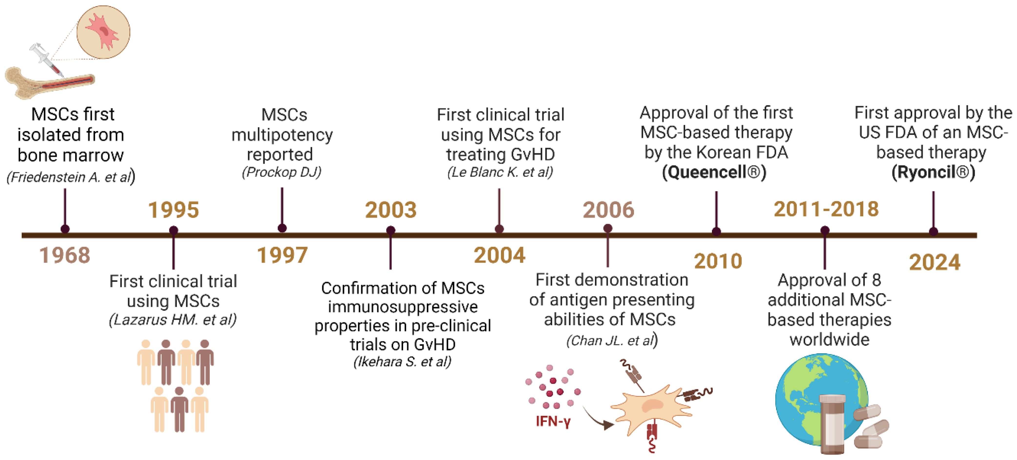 Timeline illustrating key milestones in the development of MSC (mesenchymal stem cell) therapy from 1968 to 2024. Events include the first isolation from bone marrow in 1968, the first clinical trial in 1995, approval of MSC-based therapies by Korean FDA in 2010, and US FDA in 2024. Other noteworthy events include the confirmation of immunosuppressive properties, antigen-presenting abilities, and approval of additional therapies globally. Relevant imagery accompanies the timeline.