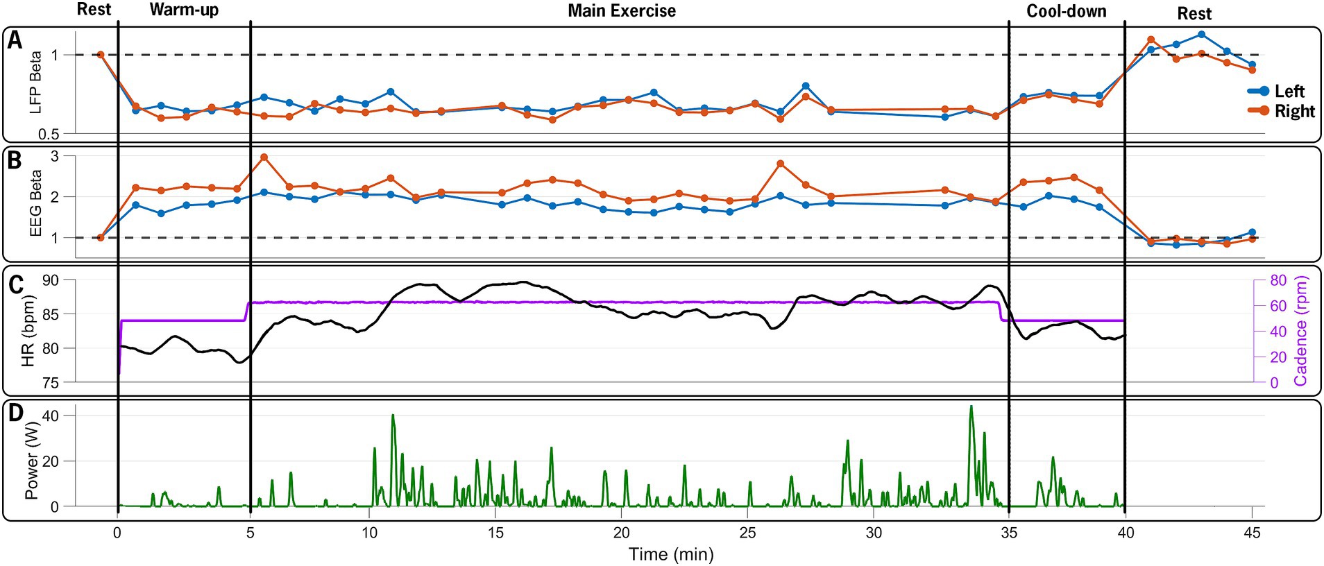 A composite graph shows data over a 45-minute period, divided into Rest, Warm-up, Main Exercise, Cool-down, and Rest stages. Panel A displays LFP Beta values for left and right measurements. Panel B shows EEG Beta values, also differentiated between left and right. Panel C presents heart rate in beats per minute and cadence in revolutions per minute. Panel D illustrates power output in watts. Data trends vary across stages, indicating physiological and performance changes during the exercise period.