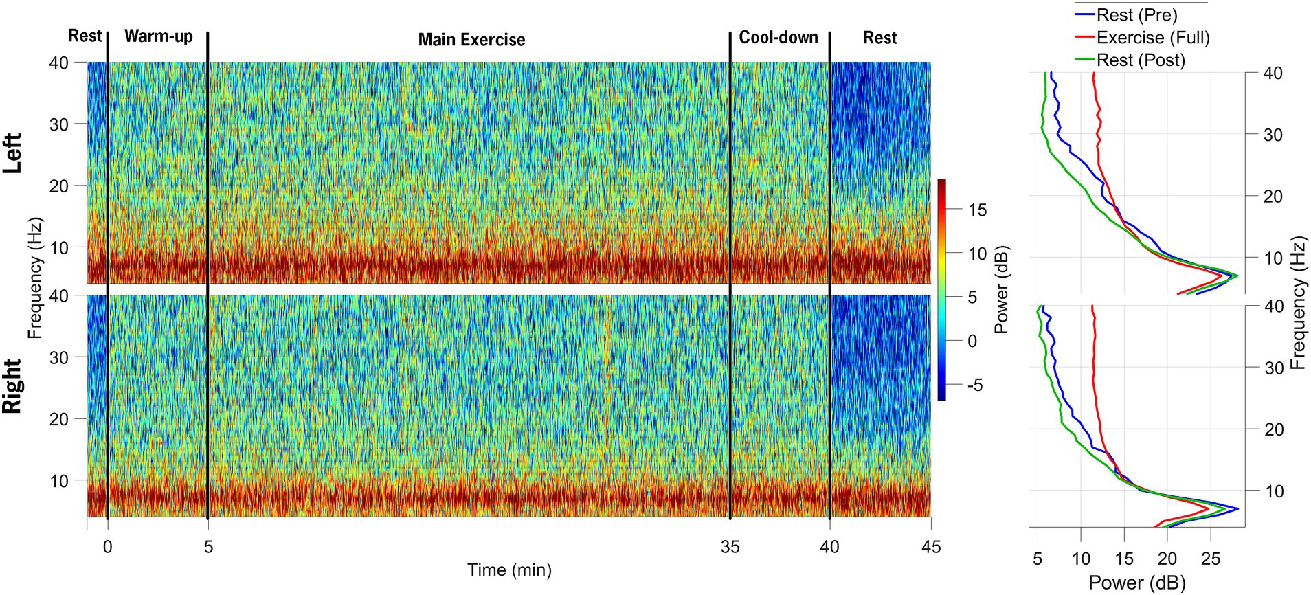 Spectograms of EEG data from the left and right motor cortex during rest, warm-up, main exercise, cool-down, and rest. Color gradient indicates power levels, with red representing higher power. The accompanying line graphs compare frequency and power changes in pre-exercise, exercise, and post-exercise states.