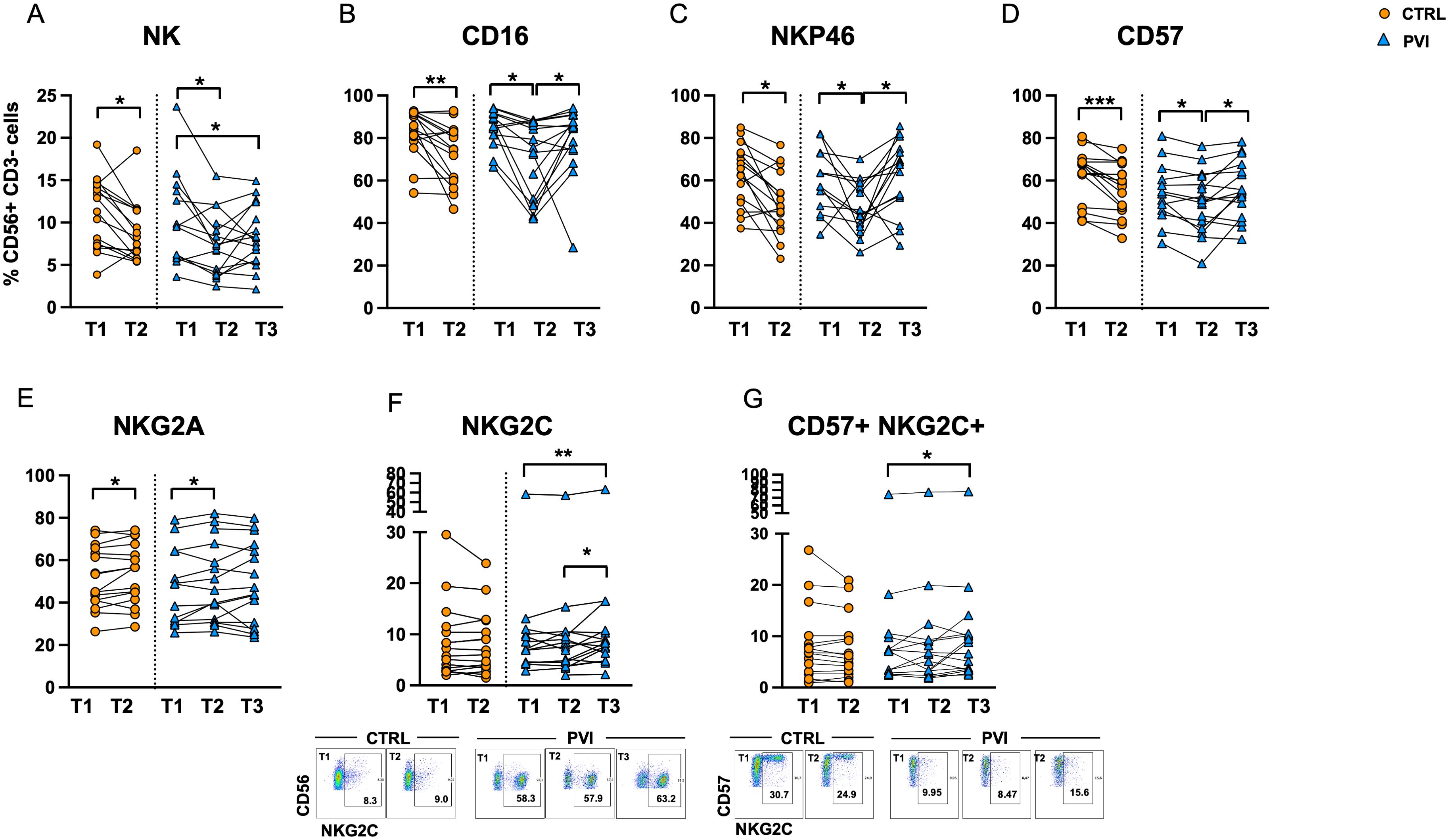 Graphs showing data on immune cell markers NK, CD16, NKP46, CD57, NKG2A, NKG2C, and CD57+ NKG2C+. Each panel compares two groups, labeled CTRL (orange circles) and PVI (blue triangles), across time points T1, T2, T3. Significant differences are marked with asterisks. Flow cytometry plots below display CD56 and NKG2C distribution for CTRL and PVI groups.
