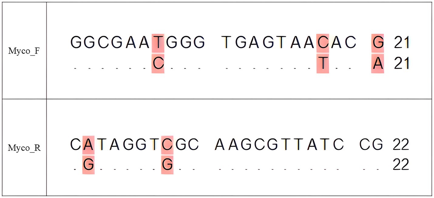 DNA sequence alignment showing two sequences labeled Myco_F and Myco_R. The alignment highlights nucleotide variations with red shading. Myco_F displays differences at positions T, C, and T. Myco_R shows differences at positions A, G, and G. Each sequence ends with a number indicating length: Myco_F is twenty-one, Myco_R is twenty-two nucleotides.