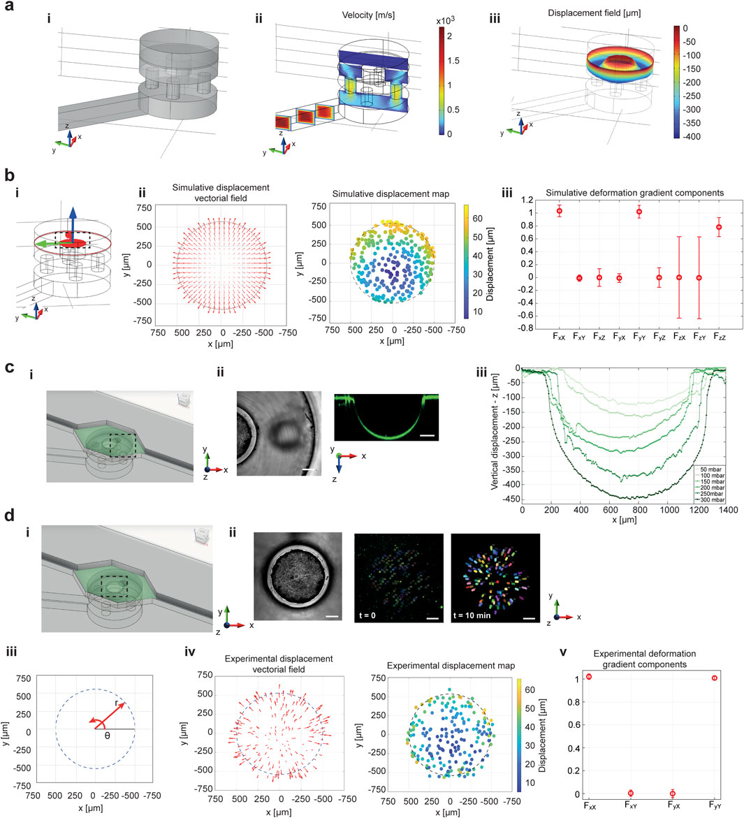 A multi-panel scientific diagram visualizing simulative and experimental displacement and deformation in different scenarios. Panel a shows 3D structures with simulative velocity and displacement fields, using color scales to indicate variations. Panel b includes a schematic of the device, simulative displacement vectorial field, and gradient components graph. Panel c displays experimental setup of the PDMS membrane and lateral displacement graphs over time. Panel d illustrates experimental characterization of a displacement map, and deformation gradient components on the deformation pillar.