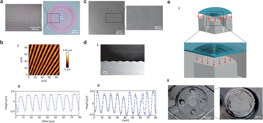 Panel a shows a microscope image of the radial micropattern. Panel b consists of a color height map and a graph depicting height variation on the micropattern. Panel c presents a SEM image of the PDMS replica of the micropattern. Panel d includes a cross-sectional image and a corresponding height graph of the patterned PDMS replica. Panel e illustrates a schematic of of the integration of the micropatterned PDMS membrane in the microfluidic platform, including a photo of the alignment of the micropattern to the deformation pillar.