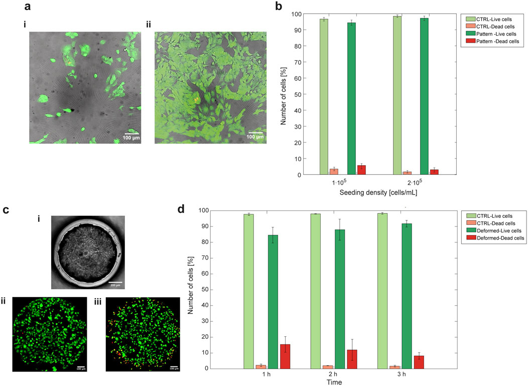 Panel (a) shows fluorescent microscopy images of live cells in a circular pattern. Panel (b) is a bar chart comparing cell viability at different seeding densities, with most cells being alive at higher densities. Panel (c) displays an image and fluorescence microscopy images, highlighting cell survival after mechanical deformation. Panel (d) is a bar chart showing cell viability over time, indicating high survival of cells after mechanical deformation.