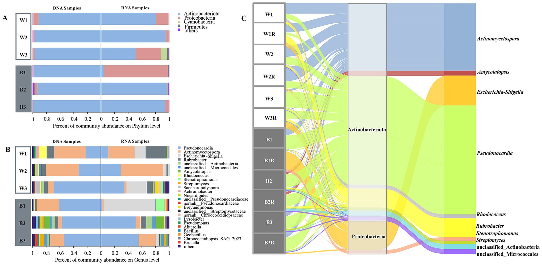 Bar and Sankey diagrams showing microbial community abundance in DNA and RNA samples. Panel A illustrates phylum-level data, with Proteobacteria and Actinobacteriota most abundant. Panel B presents genus-level data, highlighting Pseudonocardia and Escherichia-Shigella. Panel C is a Sankey diagram linking sample types (W1, W1R, etc.) to microbial categories, demonstrating distribution flow of various genera like Actinomycetospora and Rhodococcus. Color-coding differentiates taxa.