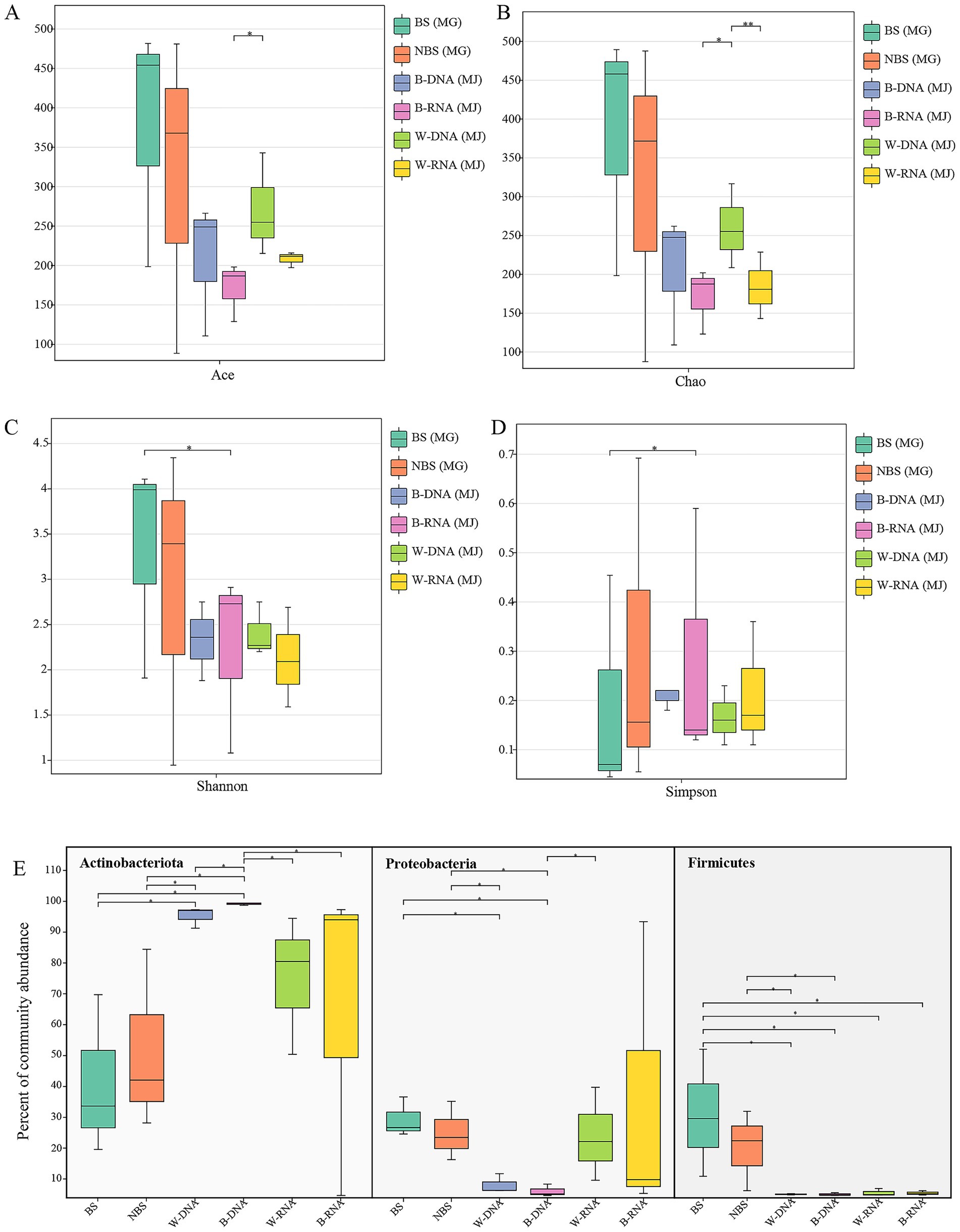 Five box plots labeled A to E display biodiversity and community abundance metrics across different sample groups. A and B show the Ace and Chao indices, respectively, with the highest values for BS (MG) and NBS (MG). C and D display Shannon and Simpson indices, highlighting diversity differences, with BS (MG) and NBS (MG) showing higher diversity. E shows the percent community abundance for Actinobacteriota, Proteobacteria, and Firmicutes, with varied distributions across sample groups. Significant differences are indicated with asterisks. The legend identifies the color-coding for groups: BS (MG), NBS (MG), B-DNA (MJ), B-RNA (MJ), W-DNA (MJ), W-RNA (MJ).