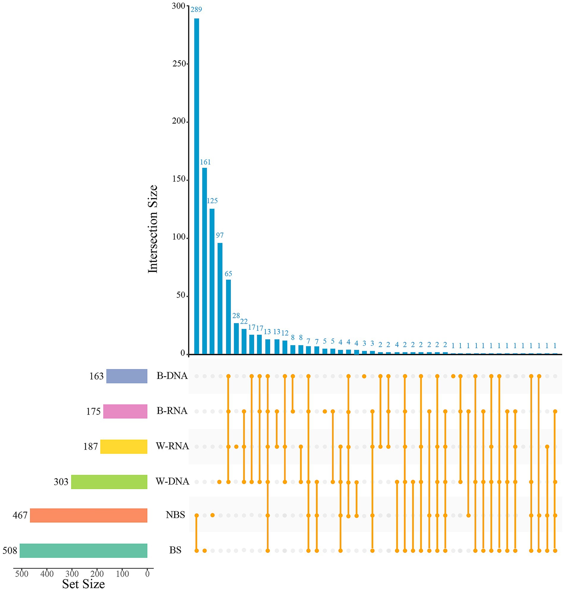 Bar chart illustrating intersection sizes of various biological datasets. The x-axis represents different intersection categories, and the y-axis shows intersection sizes. The chart includes colored bars representing six sets: B-DNA, B-RNA, W-RNA, W-DNA, NBS, and BS. The longest bar corresponds to an intersection size of 289. Set sizes are labeled on the left, ranging from 163 to 508. The chart emphasizes the most significant intersections among the datasets.