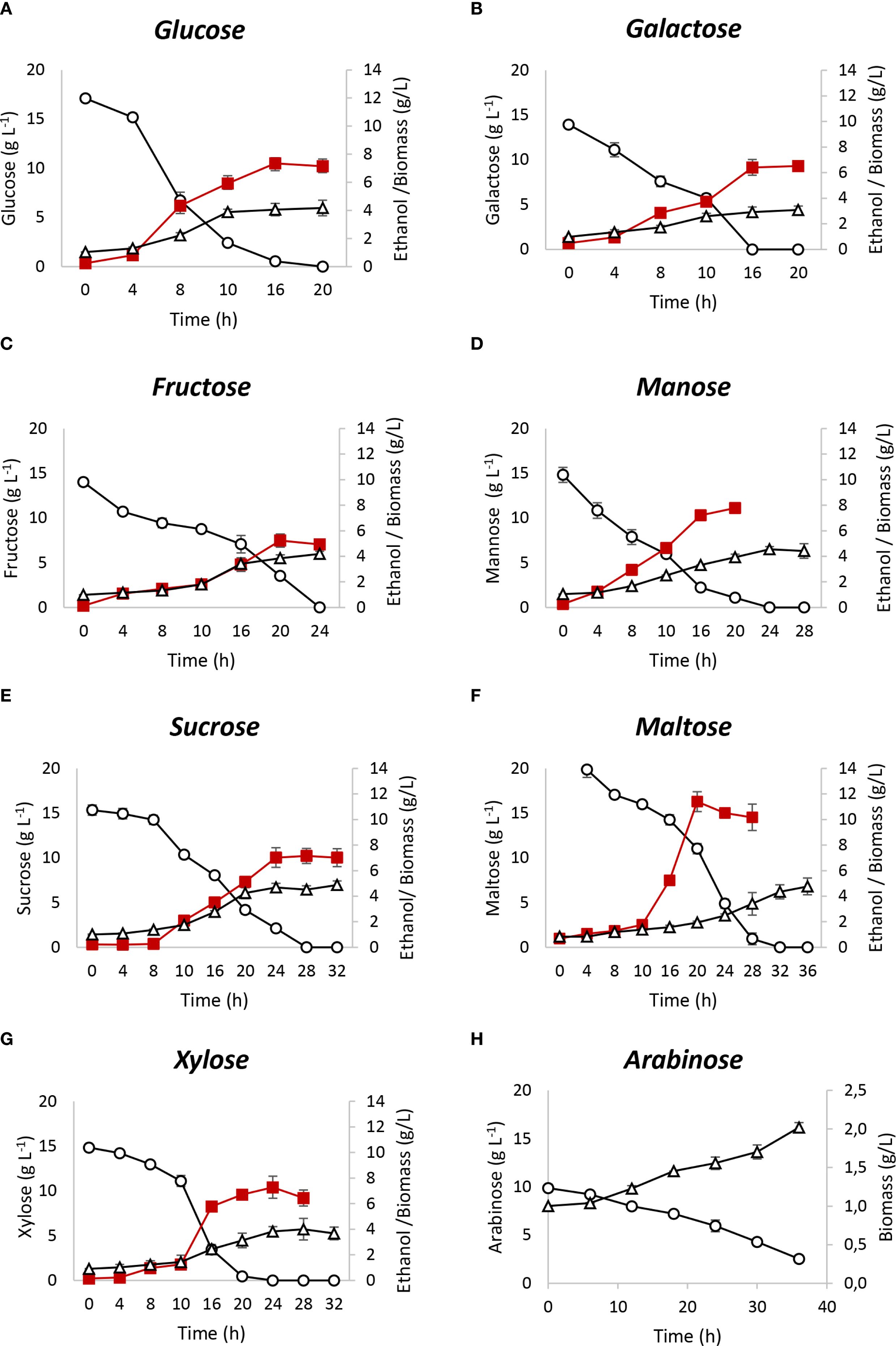 Graphs A to H illustrate the fermentation progress of various sugars by tracking concentrations over time. Each graph shows sugar concentration, ethanol production, and biomass formation against time. Glucose and other sugars show differing rates of decline, with varying ethanol and biomass outputs. Each graph has two y-axes: left for sugar concentration in grams per liter, right for ethanol and biomass. Data points are marked with different symbols for clarity.