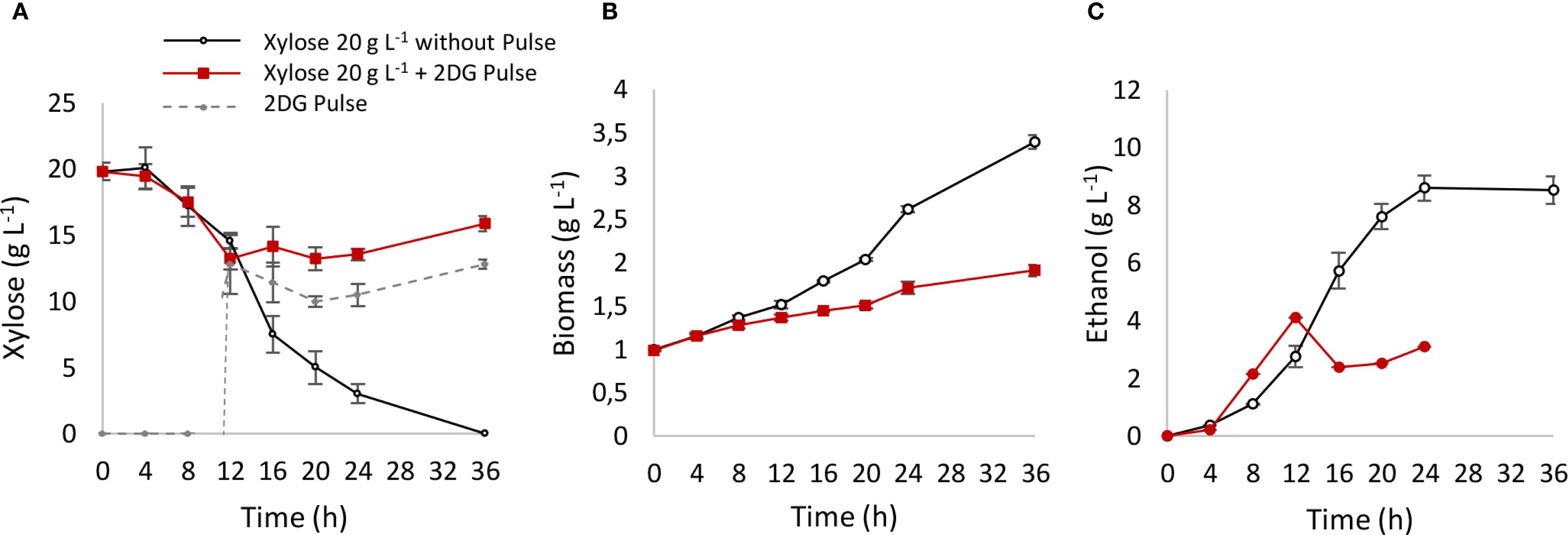 Three line graphs (A, B, C) show the effects of xylose concentration with and without a 2DG pulse over time in hours. Graph A shows changes in xylose concentration, graph B in biomass, and graph C in ethanol production. The graphs compare two conditions: xylose without pulse and xylose with 2DG pulse. Error bars are present for each data point.