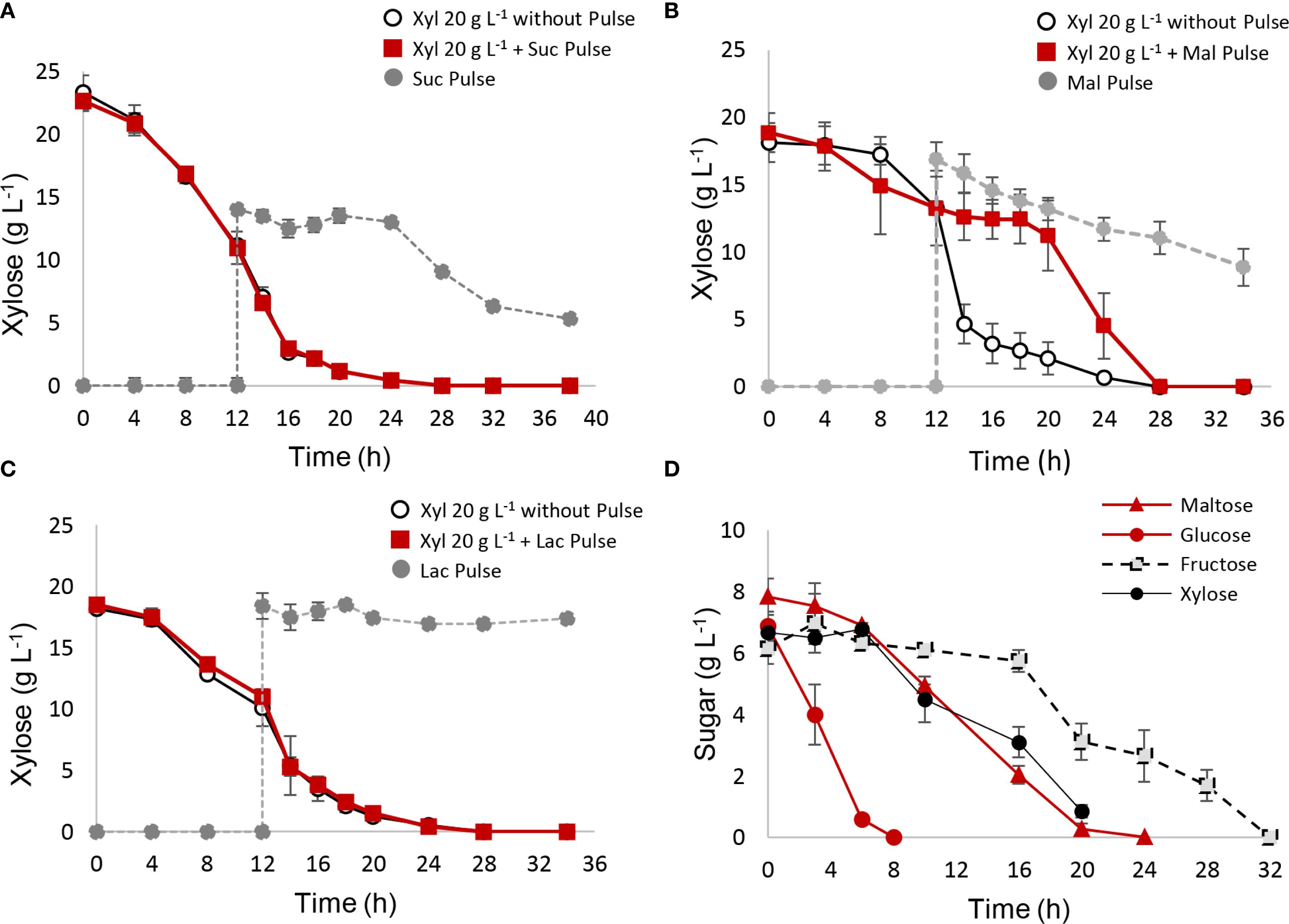Four line graphs (A, B, C, D) display xylose or sugar concentrations over time. Graph A compares xylose with and without sucrose pulse. Graph B shows xylose with maltose pulse. Graph C contrasts xylose with lactose pulse. Graph D shows concentrations of maltose, glucose, fructose, and xylose. Each graph depicts varying decreases in concentrations against time.