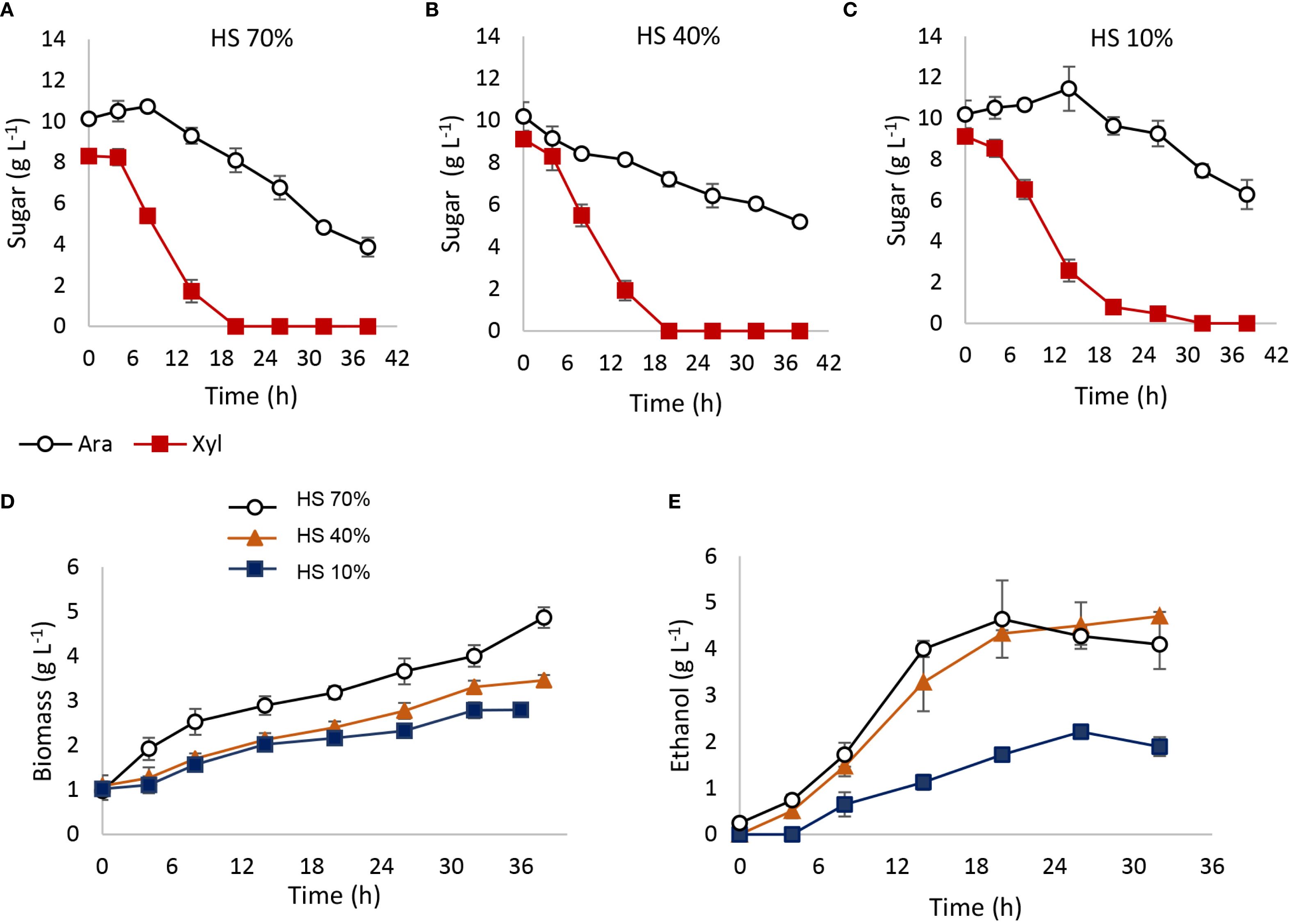 Graphs show sugar, biomass, and ethanol concentrations over time under different hydrolysate (HS) concentrations. Charts A, B, and C depict sugar reduction for HS 70%, 40%, and 10%, respectively, with Ara decreasing slower than Xyl. Chart D shows biomass increase for HS 70%, 40%, and 10%, with the highest levels at 70%. Chart E presents ethanol production, peaking with HS 70% and 40%.