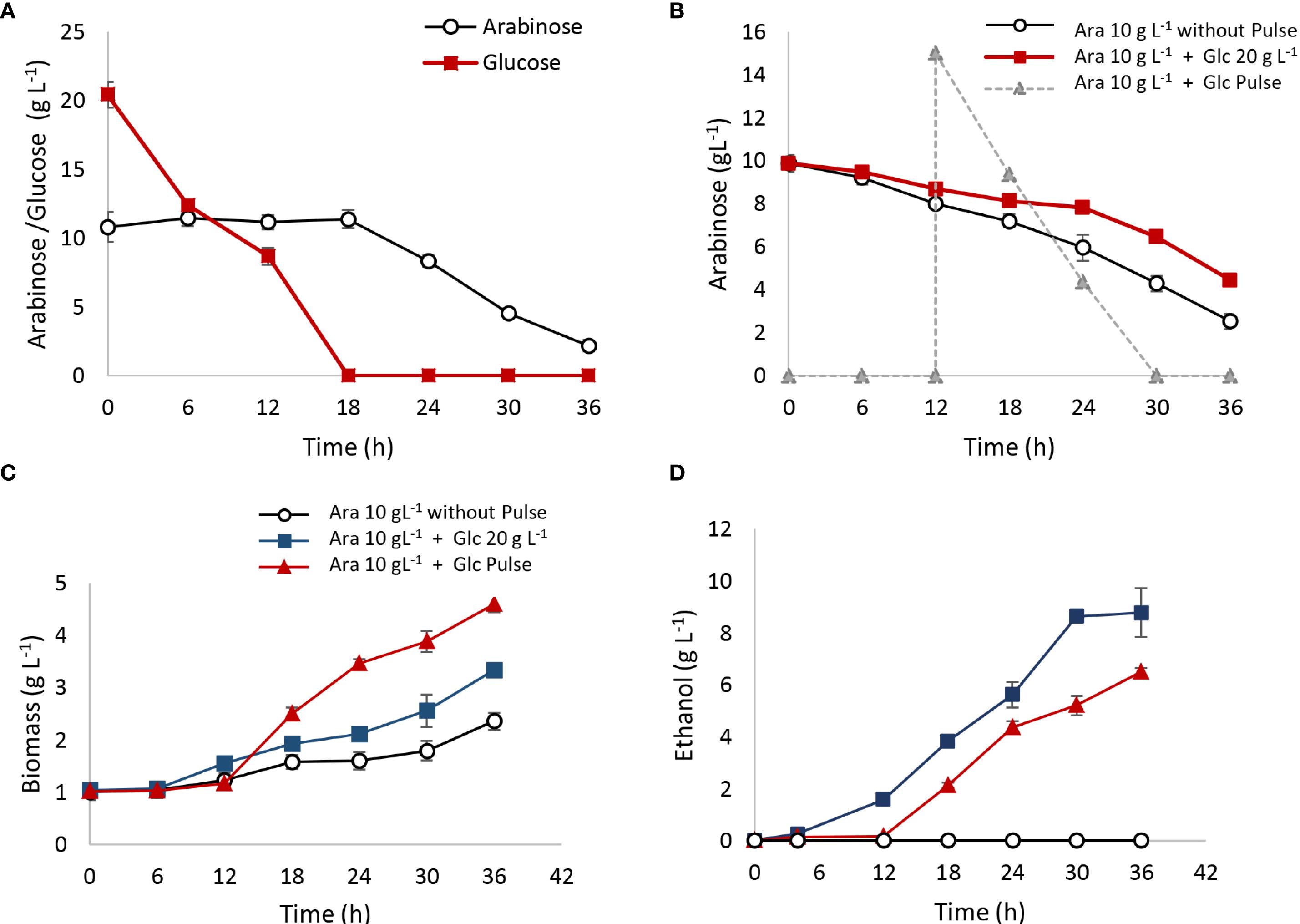 Four graphs depicting different experiments on arabinose, glucose, biomass, and ethanol over time. A: Arabinose and glucose concentrations decrease over 36 hours. B: Arabinose concentrations with three conditions showing varied declines over 36 hours. C: Biomass increases over 42 hours under three different conditions. D: Ethanol production increases over 42 hours under three different conditions.