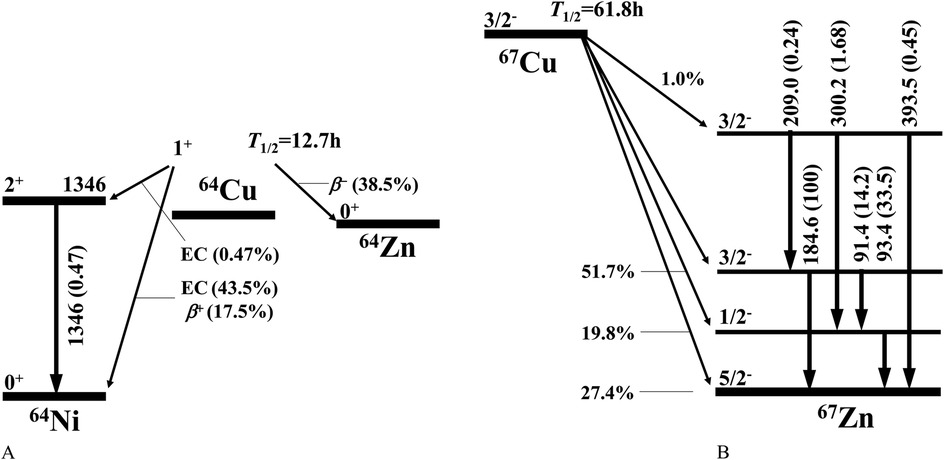 Decay schemes for isotopes: Panel A shows the decay of Copper-64 with a half-life of 12.7 hours, illustrating transitions to Nickel-64 and Zinc-64 via beta decay and electron capture. Panel B shows Copper-67 decaying with a half-life of 61.8 hours to Zinc-67, with arrowed transitions indicating various probability percentages and energy levels.
