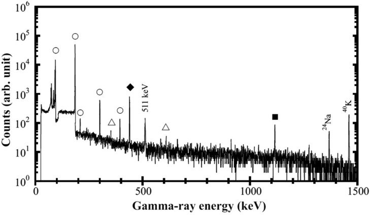 A gamma-ray energy spectrum graph showing counts in arbitrary units against energy levels in kilo-electronvolts (keV) ranging from 0 to 1500 keV. Notable peaks are marked at 511 keV, associated with specific isotopes, including sodium-24 and potassium-40. Various symbols like circles, triangles, and squares indicate different data points or sources. The vertical axis uses a logarithmic scale.