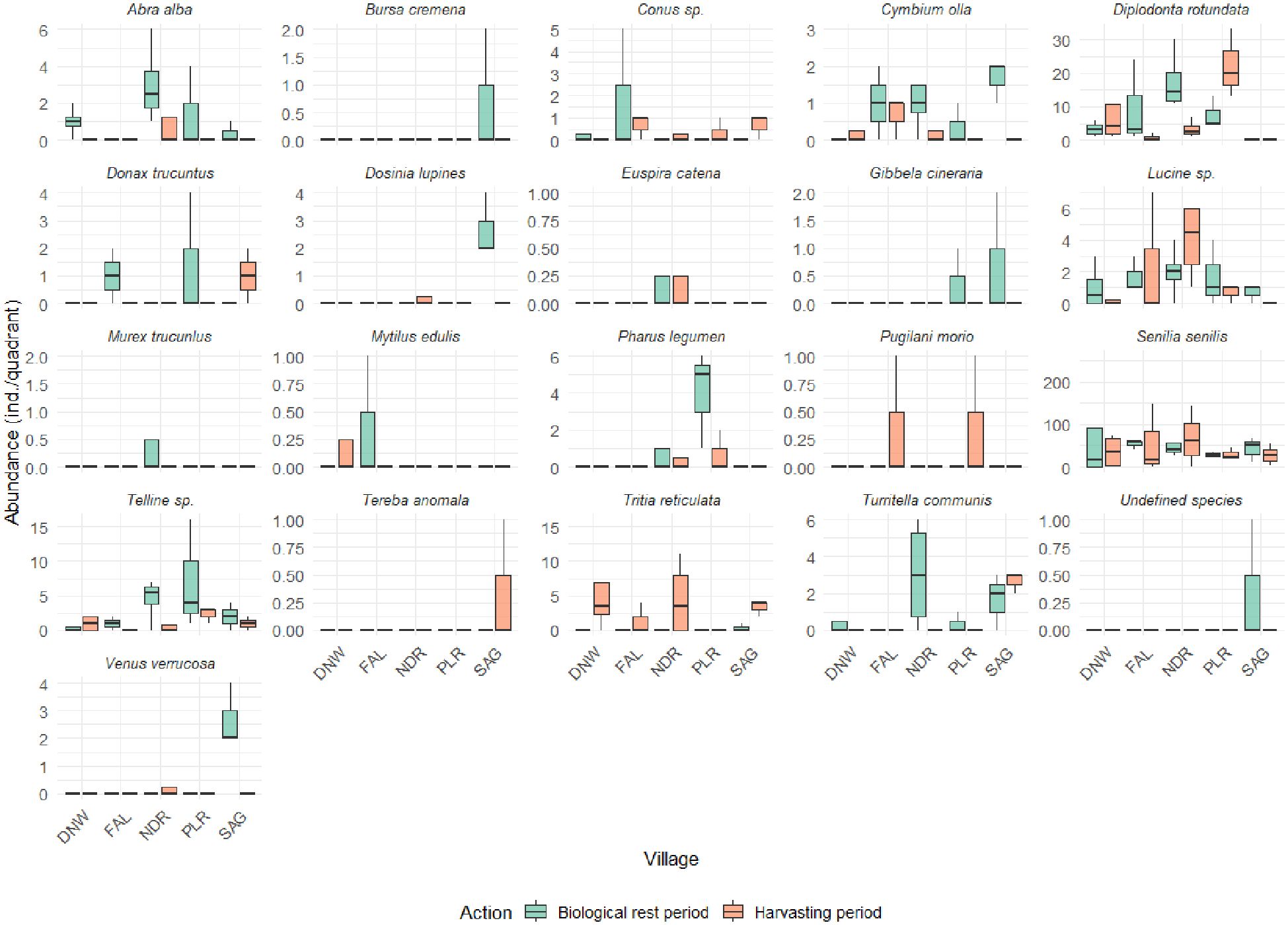 Box plots showing the abundance of various species across different villages. Each graph compares abundance during biological rest and harvesting periods, indicated by green and orange colors, respectively. Species names are listed above each plot, with abundance measured in individuals per quadrat on the y-axis and village names on the x-axis.
