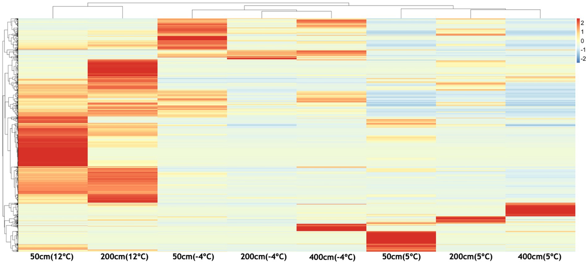 Heatmap showing data variations across different conditions and depths, labeled at the bottom as 50 cm, 200 cm, and 400 cm at temperatures 12 °C, -4 °C, and 5 °C. A color gradient from blue (-2) to red (2) indicates data value intensities. Cluster dendrograms are present on topand left sides.