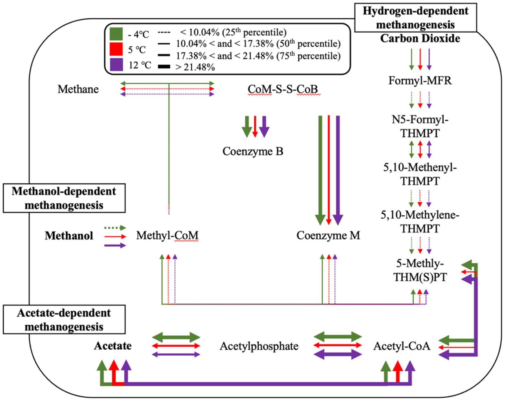 Diagram illustrating pathways of methanogenesis under different temperatures. It shows three pathways: methanol-dependent, hydrogen-dependent, and acetate-dependent methanogenesis. Arrows indicate reactions involving methane, carbon dioxide, methanol, acetate, andvarious coenzymes. Color-coded arrows (green, red, purple) represent temperature conditions at -4 °C, 5 °C, and 12 °C, correlating with specificpercentiles.