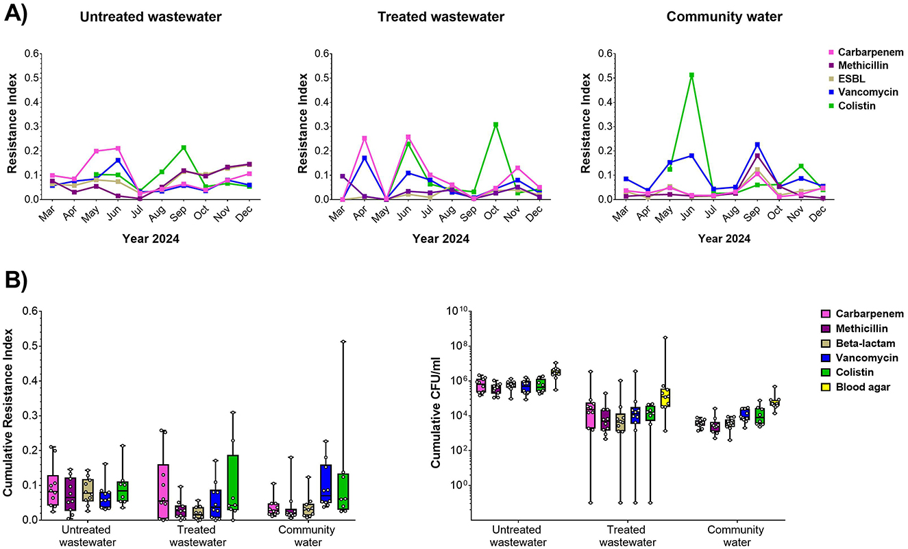 Graph A shows line graphs of resistance index over months in 2024 for untreated wastewater, treated wastewater, and community water, with different antibiotics represented by colored lines. Graph B shows boxplots of cumulative resistance index and CFU per milliliter for the same water types with various antibiotic resistances indicated.