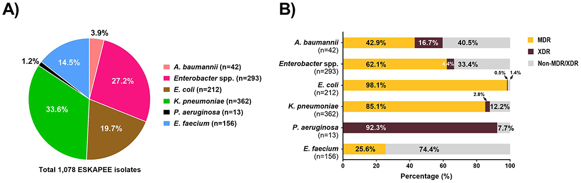 Chart A is a pie chart showing the distribution of 1,078 ESKAPEE isolates by bacterial species: K. pneumoniae (33.6%), Enterobacter spp. (27.2%), E. coli (19.7%), E. faecium (14.5%), A. baumannii (3.9%), and P. aeruginosa (1.2%). Chart B is a horizontal bar chart showing the percentage of MDR, XDR, and Non-MDR/XDR for each ESKAPEE species. K. pneumoniae has the highest MDR percentage at 85.1%, while E. faecium has the highest Non-MDR/XDR at 74.4%.