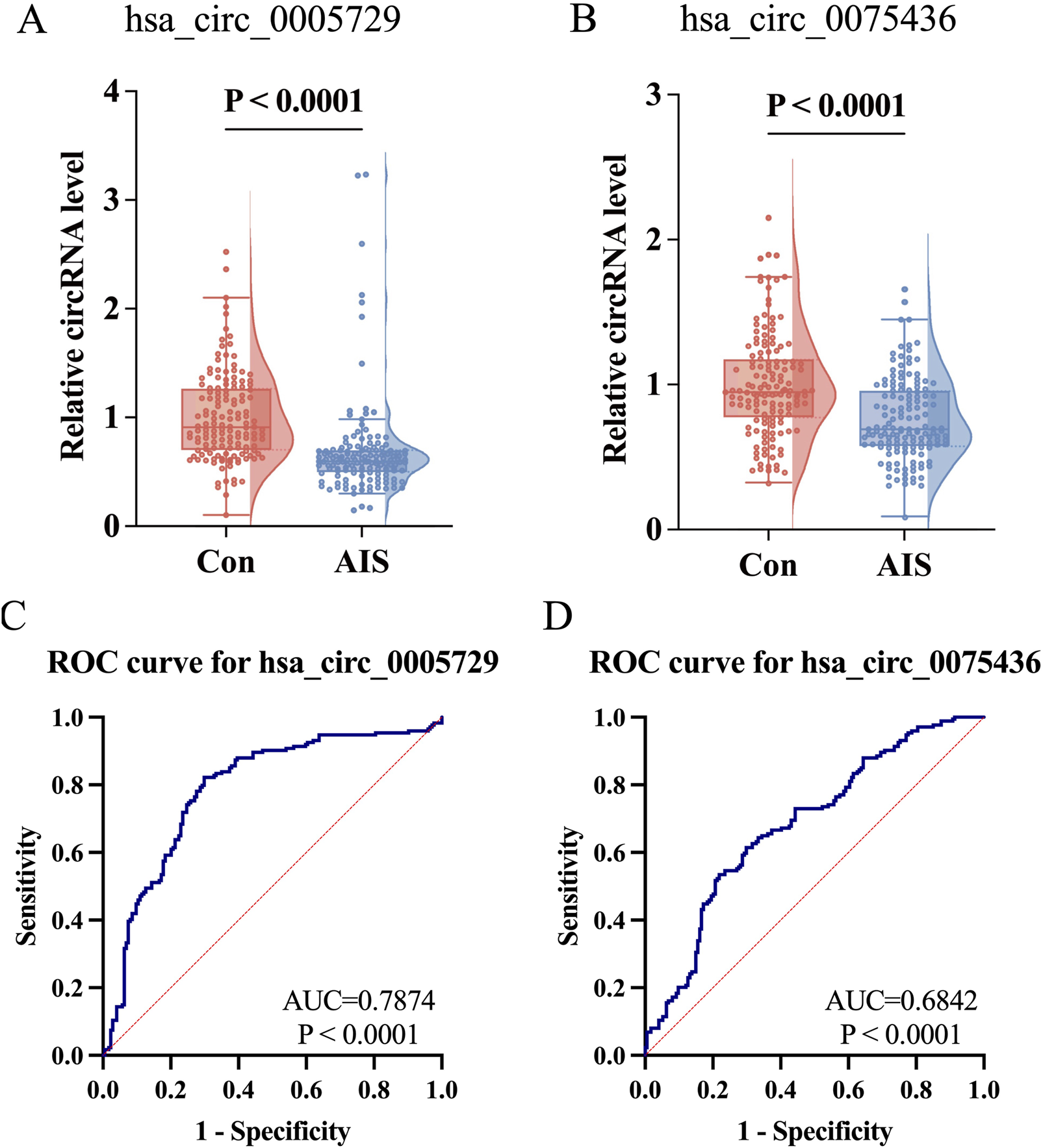 Graphs comparing relative circRNA levels between control (Con) and acute ischemic stroke (AIS) patients. Panels A and B show violin plots for hsa_circ_0005729 and hsa_circ_0075436, with significant differences indicated (P < 0.0001). Panels C and D present ROC curves for the same circRNAs, showing AUC values of 0.7874 and 0.6842, respectively, both statistically significant (P < 0.0001).