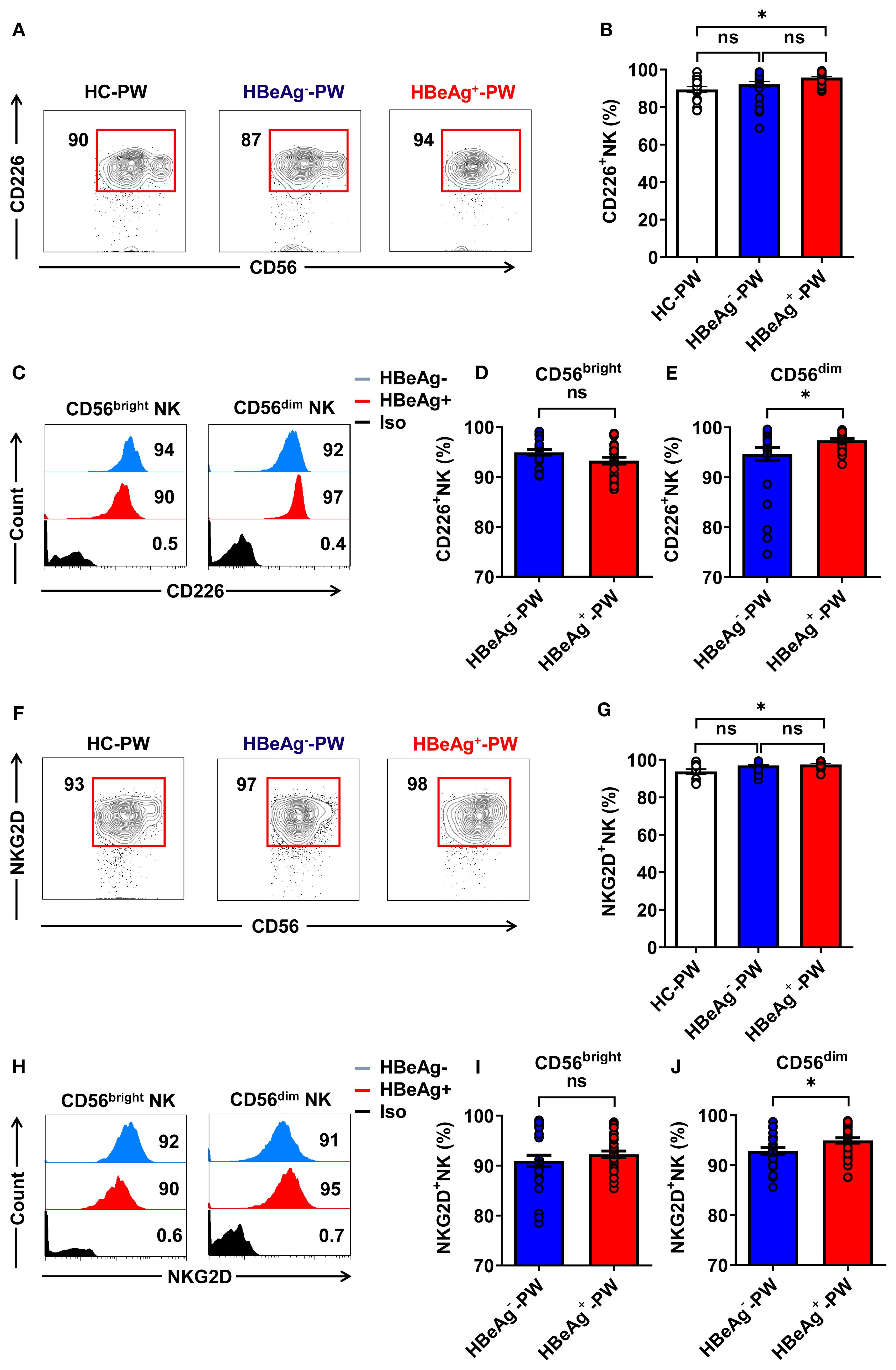 Flow cytometry data compares immune cell markers CD226 and NKG2D on natural killer (NK) cells among three participant groups: HC-PW, HBeAg-negative PW, and HBeAg-positive PW. Panels A and F show contour plots of CD56 vs CD226 and CD56 vs NKG2D, respectively. Panels B, D, E, G, I, and J display bar graphs of percentage positive cells, with statistical significance noted. Panels C and H present histograms for CD226 and NKG2D expression on CD56^bright and CD56^dim NK subsets. Significant differences, marked by asterisks, indicate variations between groups.