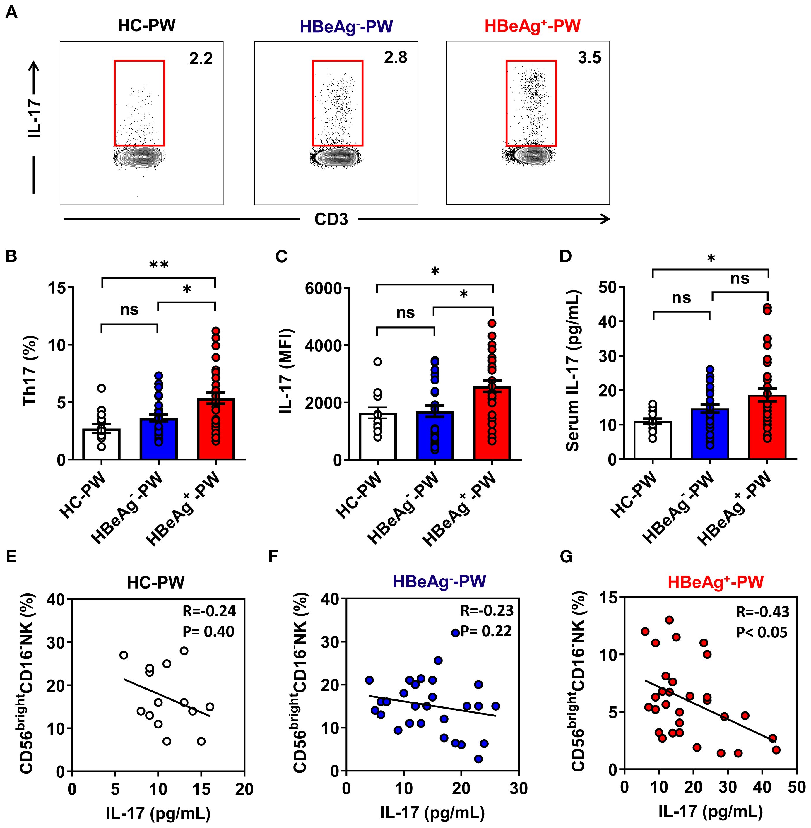 Graphical data visualization showing immune response analysis. Panel A presents dot plots of IL-17 vs. CD3 for HC-PW, HBeAg-negative-PW, and HBeAg-positive-PW groups. Panels B-D display bar charts comparing Th17 percentage, IL-17 MFI, and serum IL-17 levels, respectively, across the same groups, with significant differences marked by asterisks. Panels E-G show scatter plots of CD56-bright CD16-negative NK cell percentage versus IL-17 concentrations, with correlation coefficients and significance values for each group (HC-PW, HBeAg-negative-PW, HBeAg-positive-PW). A significant negative correlation is noted in the HBeAg-positive-PW group.