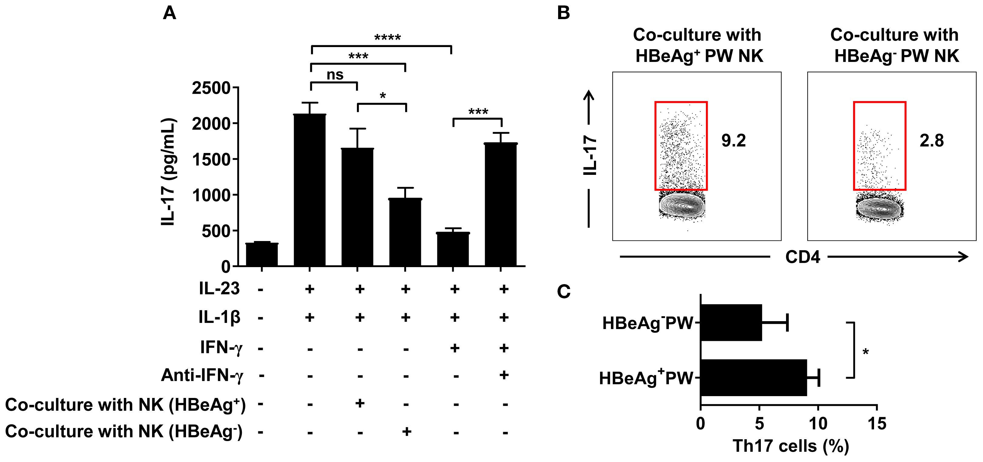 Panel A shows a bar graph of IL-17 levels (pg/mL) under various conditions, with statistical significance indicated by asterisks. Panel B displays flow cytometry plots of IL-17 versus CD4 in co-cultures with HBeAg positive and negative NK cells, highlighting percentages of 9.2 and 2.8, respectively. Panel C compares the percentage of Th17 cells between HBeAg positive and negative groups, with a significant increase in the positive group denoted by an asterisk.