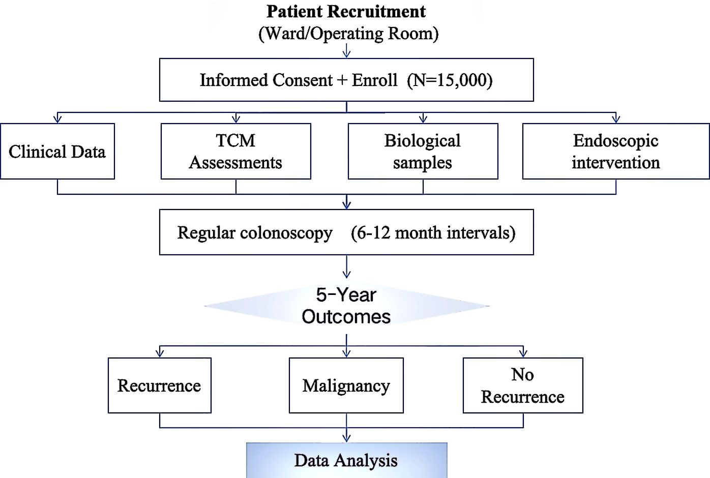 Flowchart showing patient recruitment and data collection for a study with 15,000 participants. It includes informed consent, clinical data, TCM assessments, biological samples, and endoscopic intervention. Regular colonoscopies occur every six to twelve months. Outcomes over five years include recurrence, malignancy, or no recurrence, followed by data analysis.