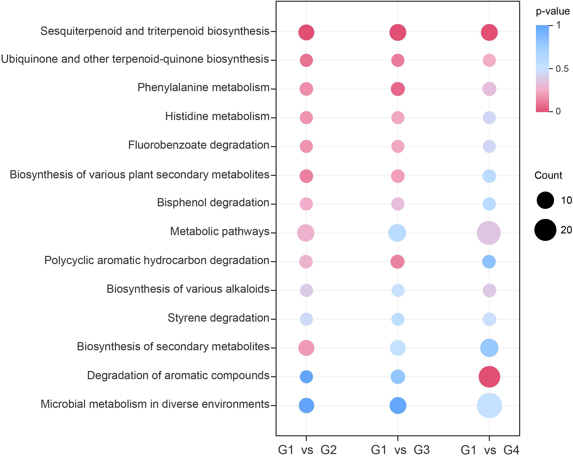 Dot plot illustrating various metabolic and biosynthesis pathways. X-axis shows comparisons G1 vs G2, G1 vs G3, G1 vs G4. Y-axis lists pathways like sesquiterpenoid biosynthesis and phenylalanine metabolism. Dot size indicates count, with larger dots representing higher counts. Color gradient represents p-values, with red for lower values and blue for higher values.