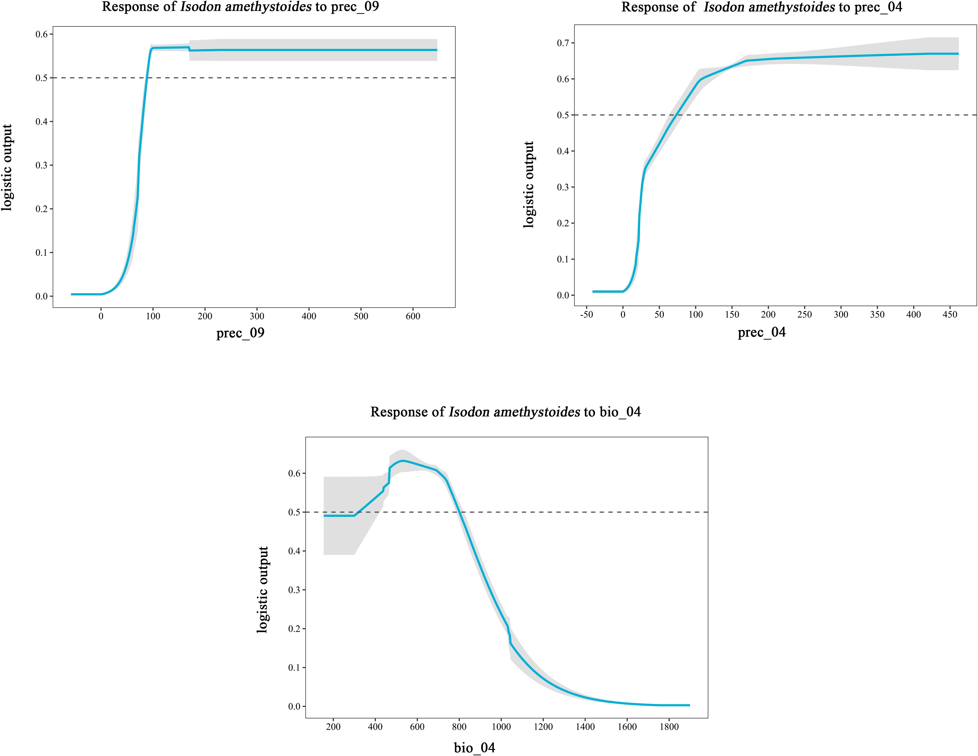 Three graphs show the logistic output response of Isodon amethystoides to different variables. The first graph shows a sharp increase in response to “prec_09.” The second graph displays a gradual increase in response to “prec_04.” The third graph shows a decline in response to “bio_04.” Shaded areas indicate confidence intervals.