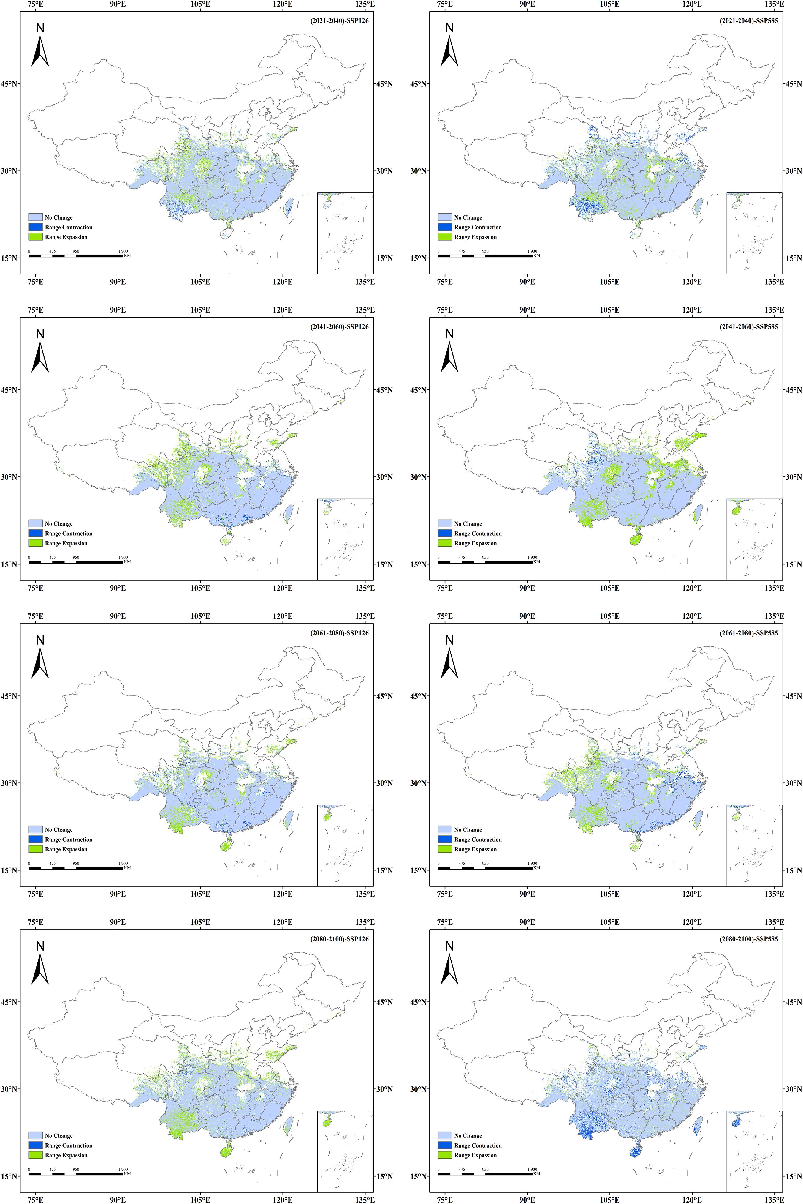 Eight maps display projected range changes for a species in China from 2021 to 2100 under two climate scenarios (SSP126, SSP585). Blue indicates no change, light green shows range contraction, and dark green signifies range expansion. Each row represents a future time range: top (2021-2040), second (2041-2060), third (2061-2080), and bottom (2081-2100). Maps on the left display SSP126 scenario, while those on the right show SSP585.