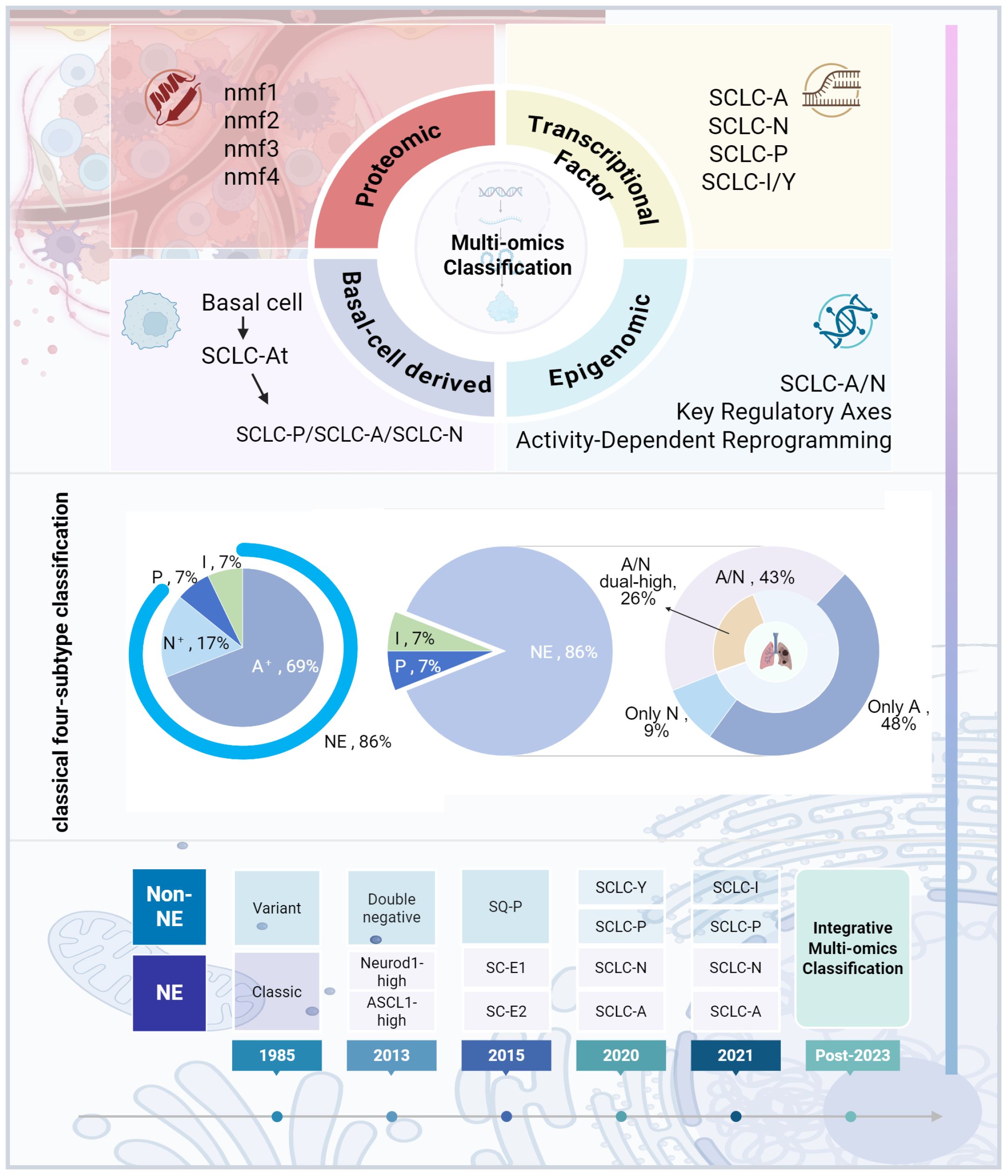 Diagram illustrating multi-omics classification of small cell lung cancer (SCLC). It features four segments: proteomic, transcriptional factor, basal-cell derived, and epigenomic. Below, pie charts compare classical and updated classifications of SCLC subtypes, indicating distributions of NE, A, N, P, and I. A timeline shows the evolution of classification methods from 1985 to post-2023, highlighting transitions from classical to integrative multi-omics approaches.