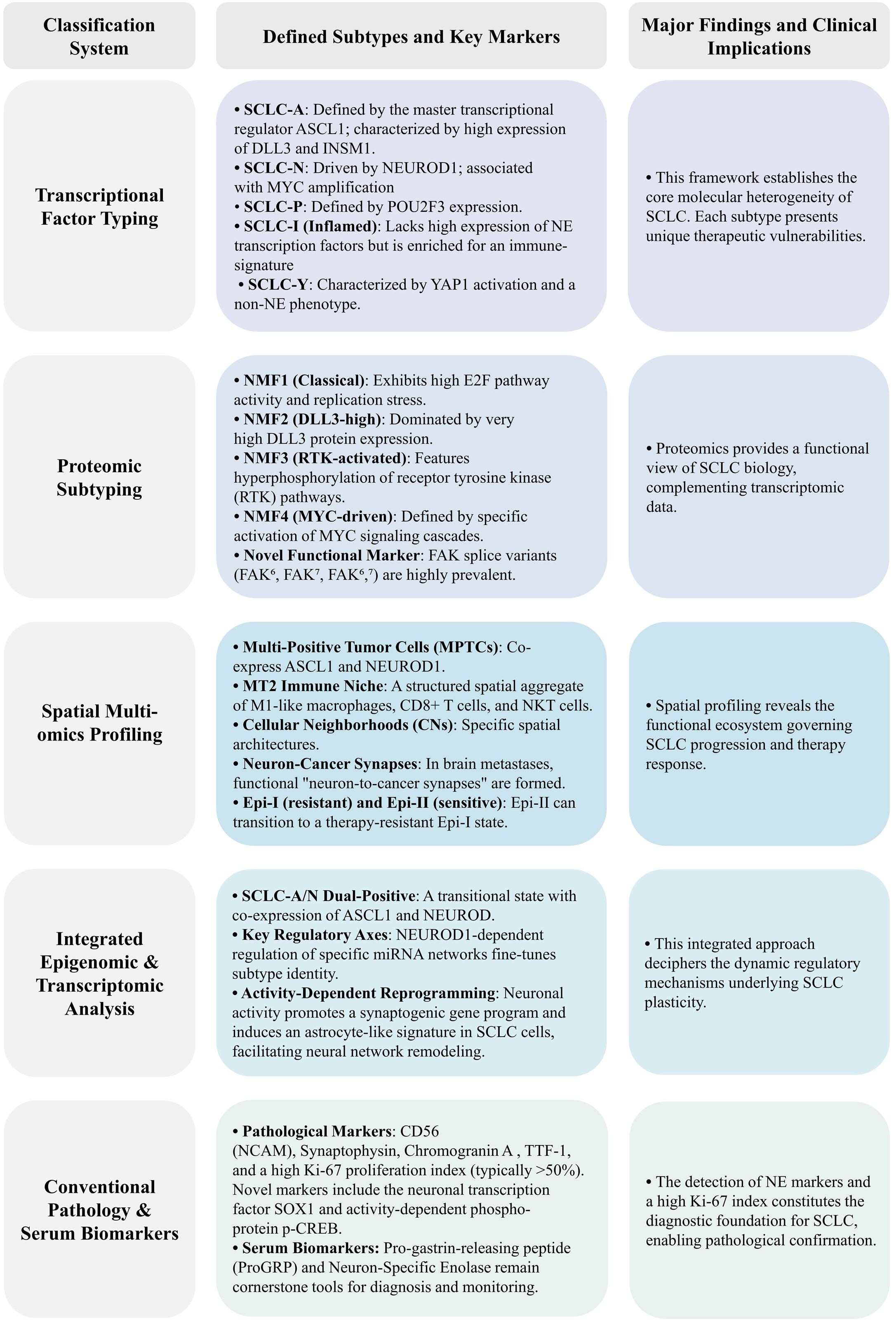 Classification systems for small cell lung cancer (SCLC) include transcriptional factor typing, proteomic subtyping, spatial multi-omics profiling, integrated epigenomic and transcriptomic analysis, and conventional pathology and serum biomarkers. Key findings highlight molecular heterogeneity, unique therapeutic vulnerabilities, functional insights, spatial profiling, dynamic regulation, and diagnostic markers such as CD56 and ProGRP.