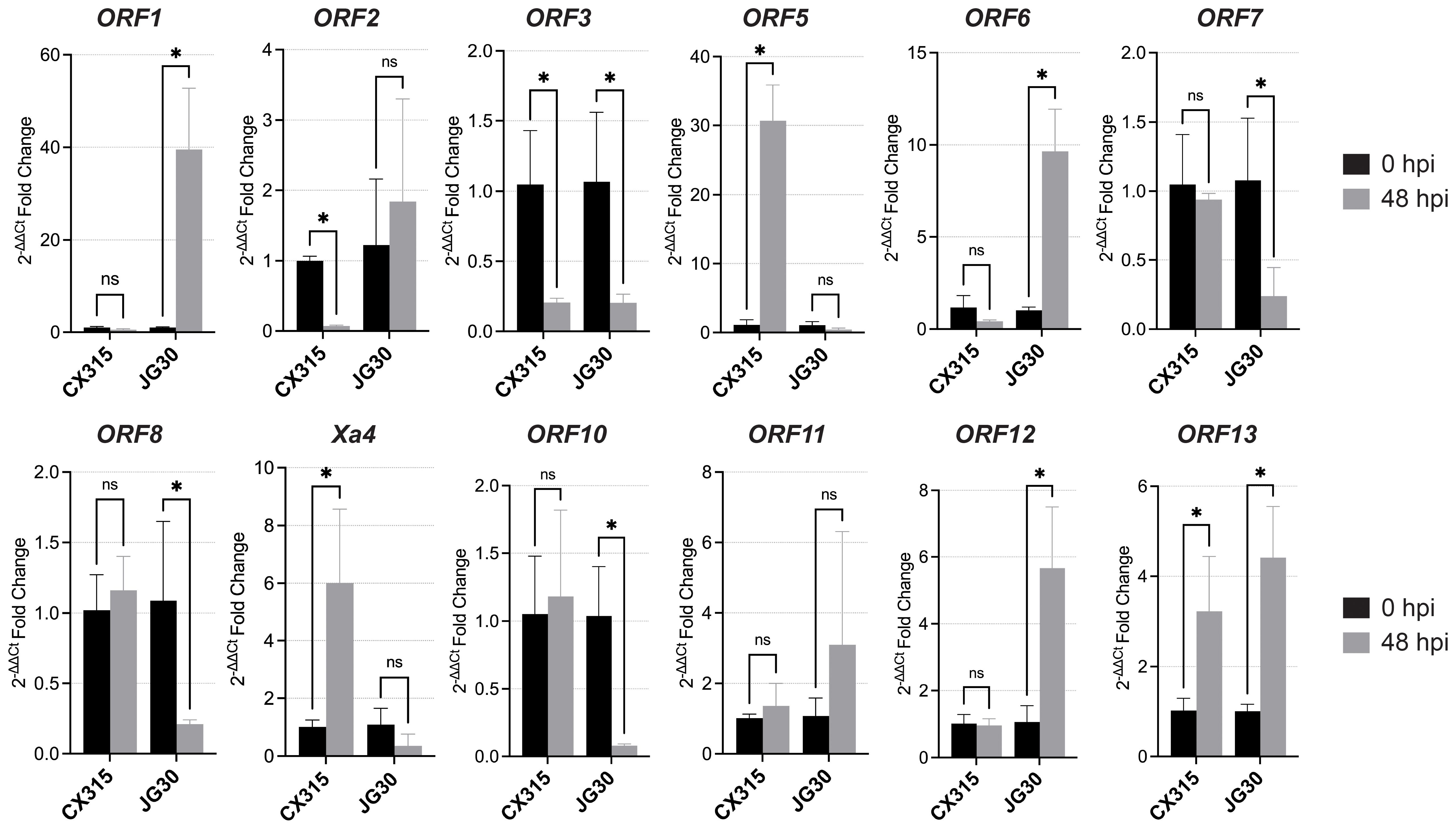 Bar graphs display the 2^−ΔΔCt fold change for various ORFs and Xa4 at 0 and 48 hours post-infection (hpi) with CX315 and JG30. Each graph compares two strains, showing significant changes marked by asterisks and not significant (ns) labels. Data indicate varying gene expression, with notable increases at 48 hpi for several ORFs.