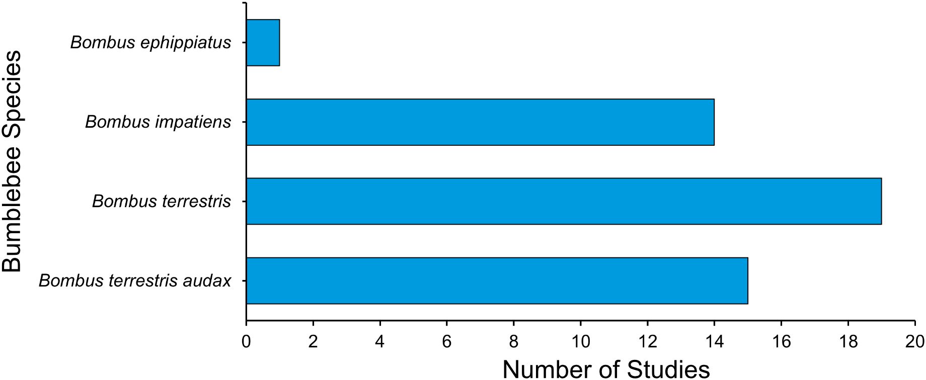Bar chart showing the number of studies on different bumblebee species. Bombus terrestris has the highest count near 19, followed by Bombus impatiens at 14. Bombus terrestris audax is next with 5, and Bombus ephippiatus is lowest with with 1 study.