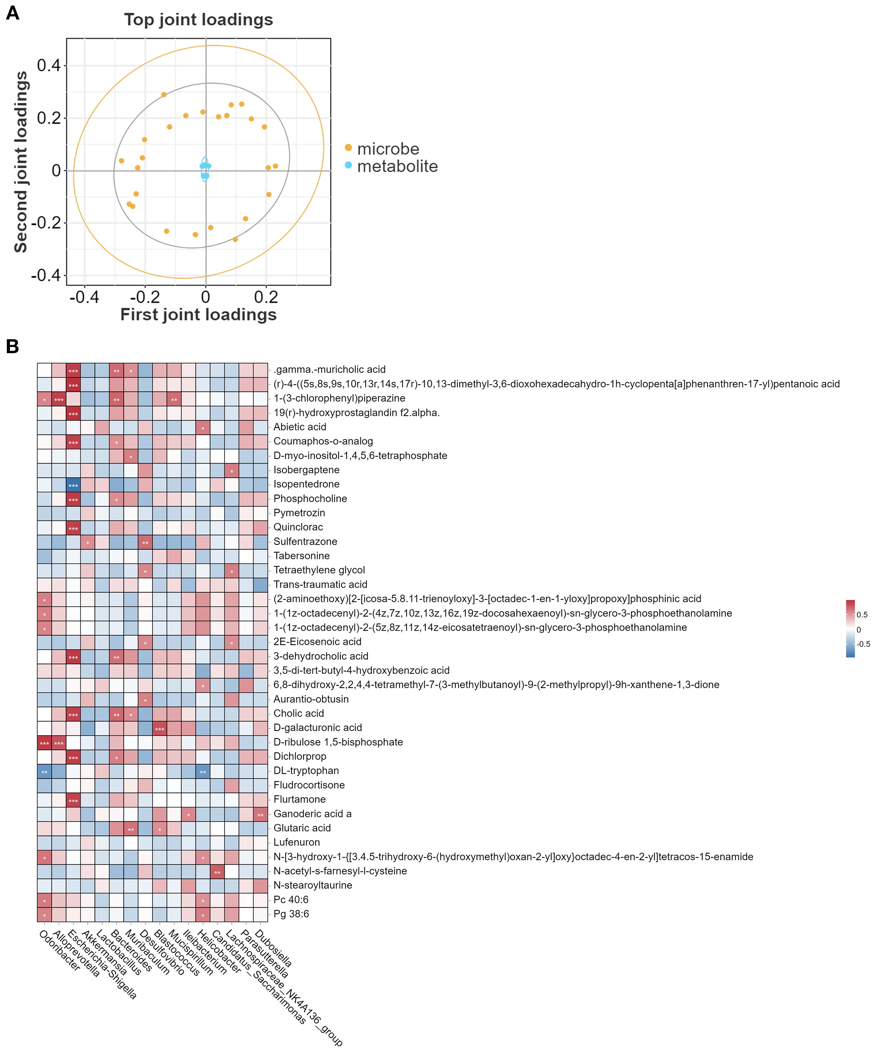 Chart A shows a scatter plot of top joint loadings with 'microbe' data in orange and 'metabolite' in blue. Plot axes are labeled with first and second joint loadings. Chart B is a heatmap with different chemicals and substances listed, showing color gradients from red to blue, indicating varying levels of correlation or data value, with a scale from minus 0.5 to plus 0.5.