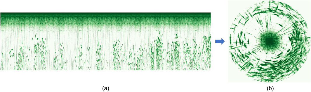 Image showing two graphical representations. The left graphic (a) is a rectangular pattern with green vertical streaks and scattered dark green spots. The right graphic (b) transforms this into a circular form with radiating lines and a central green gradient, surrounded by varied green patterns. An arrow between them indicates transformation.